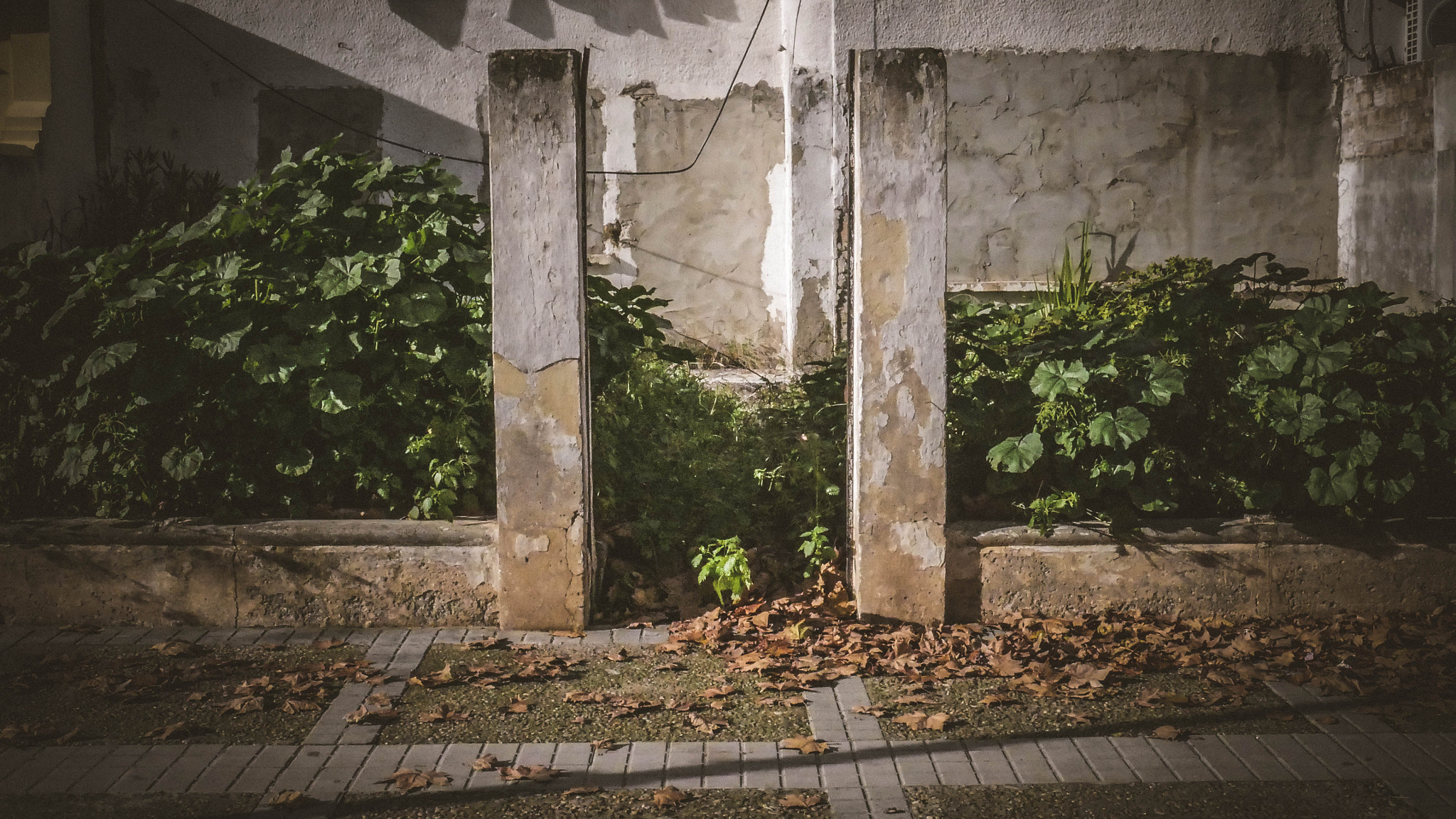 Panasonic Lumix DMC-G7 sample photo. The house of 2 corpses photography