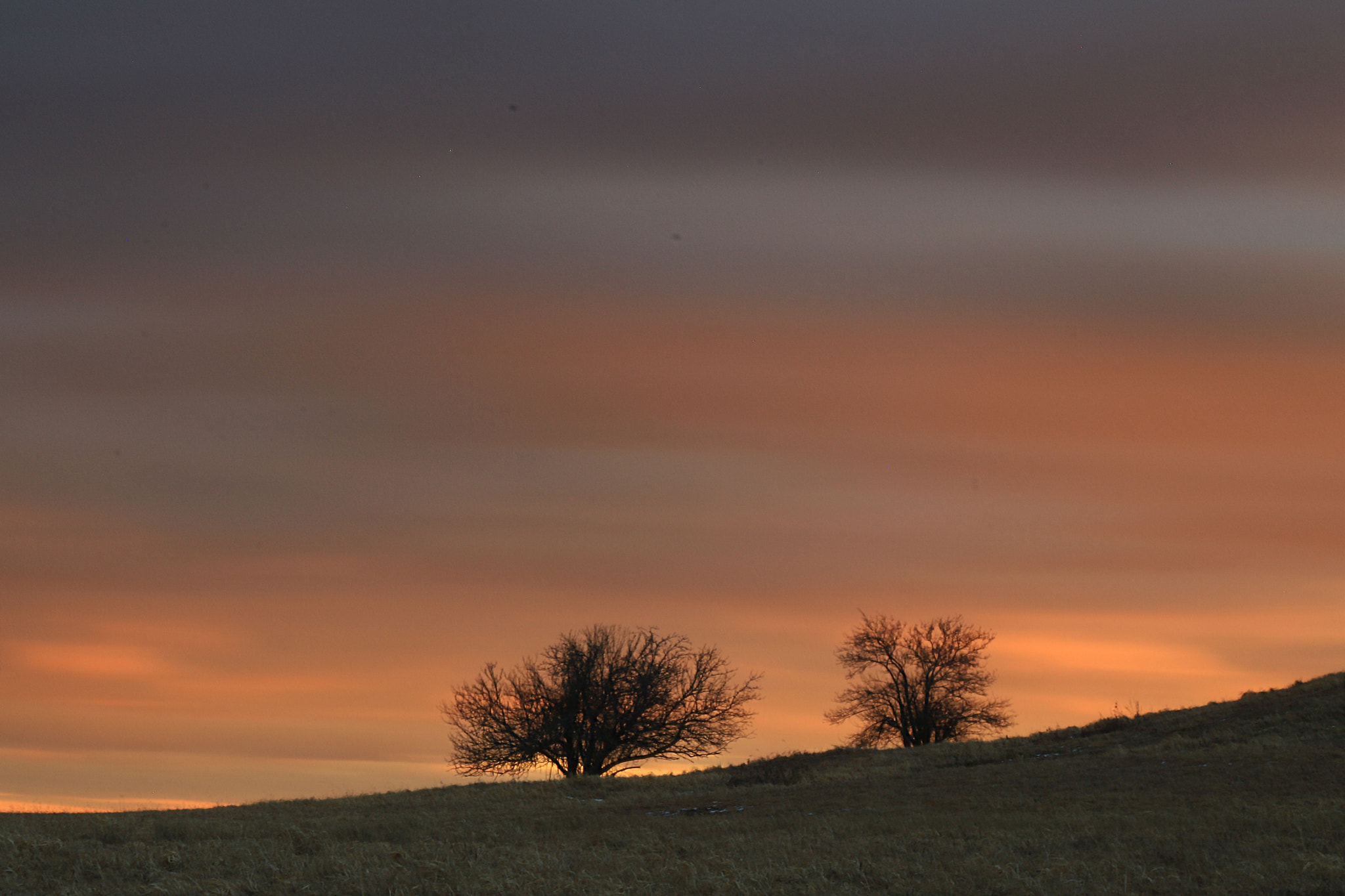 Canon EF 70-300mm F4-5.6 IS USM sample photo. Painting the sky photography