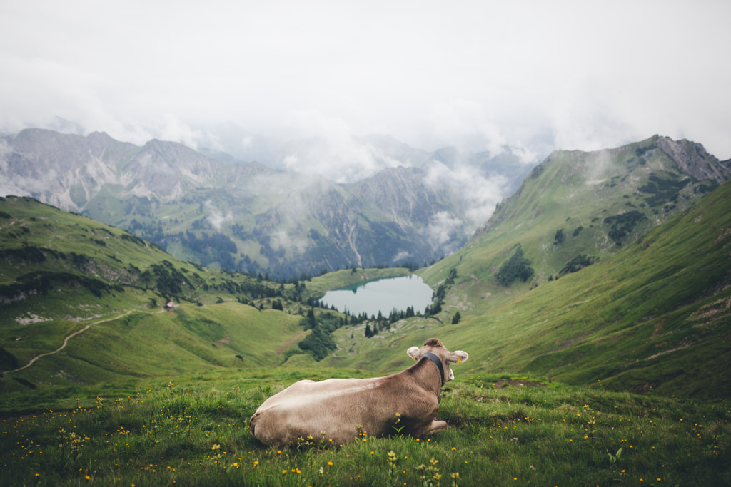 Living the easy life and enjoy your weekend. by Johannes Hulsch on 500px.com