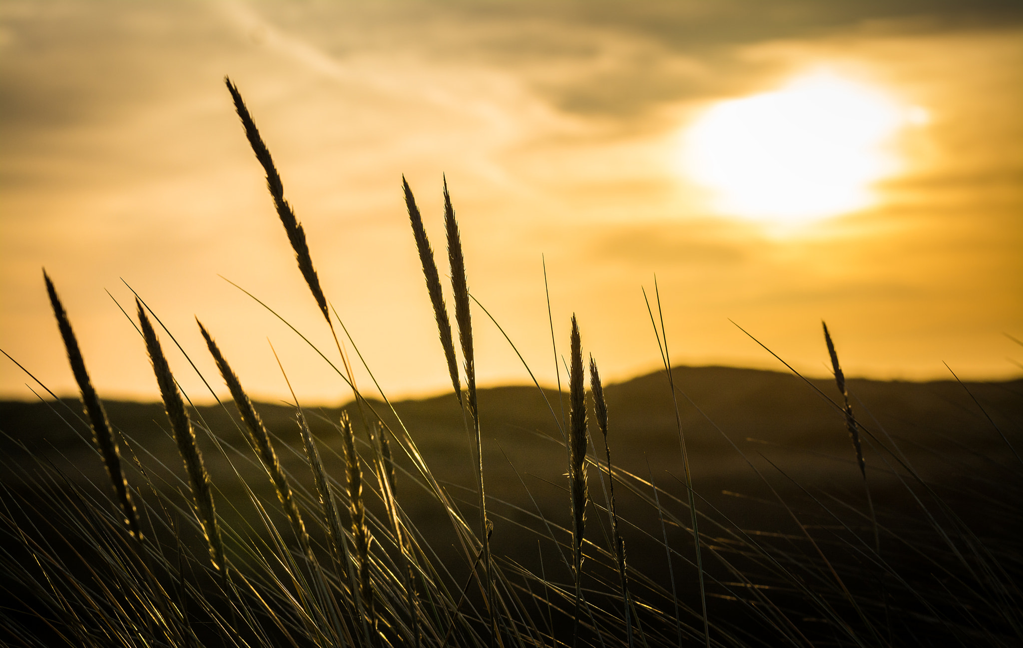 Tamron SP 70-200mm F2.8 Di VC USD sample photo. Dunes iii photography