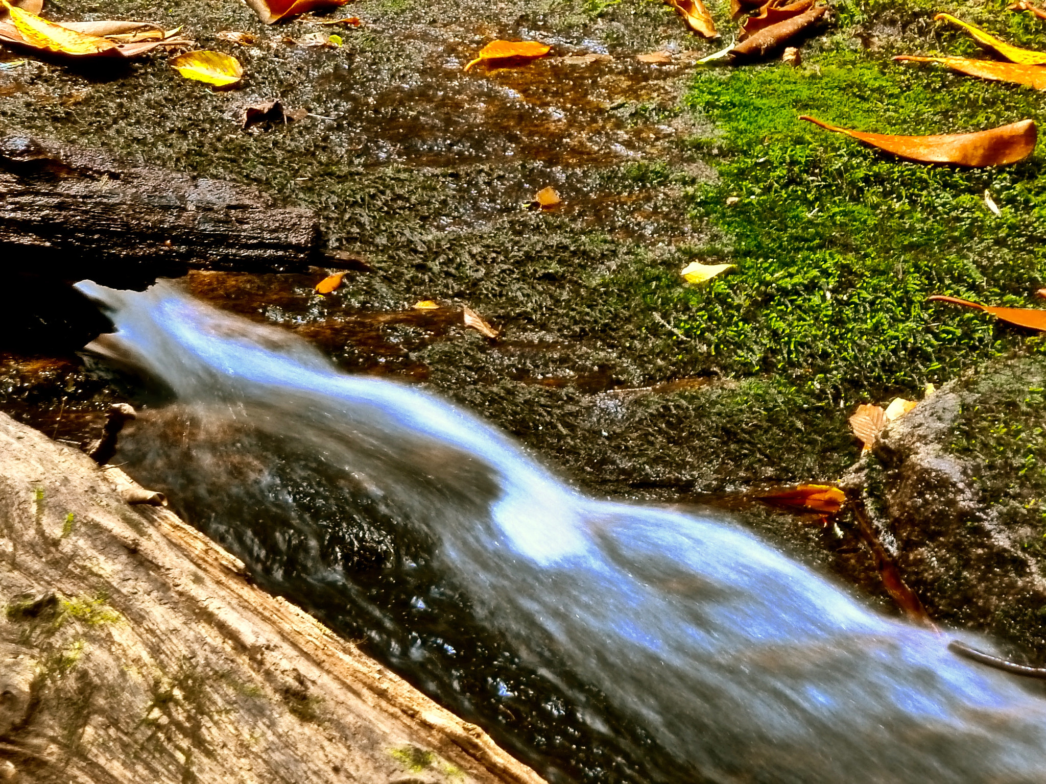 Panasonic DMC-ZS6 sample photo. Water, rock, plant photography