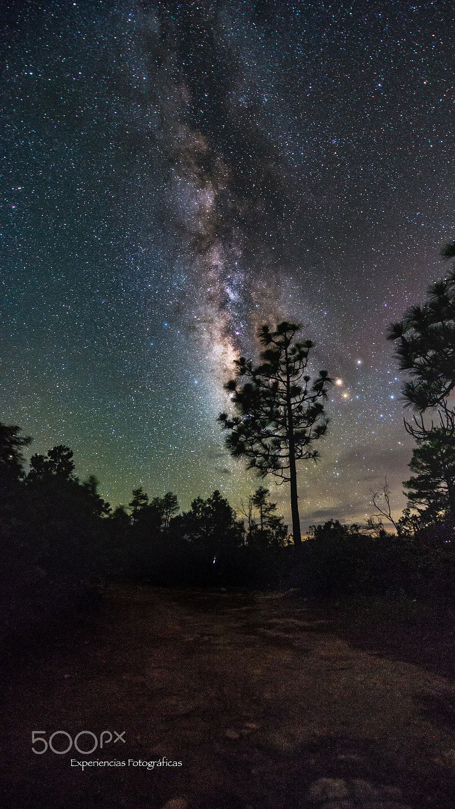 Nikon D4 sample photo. Milky way at cooper canyon photography