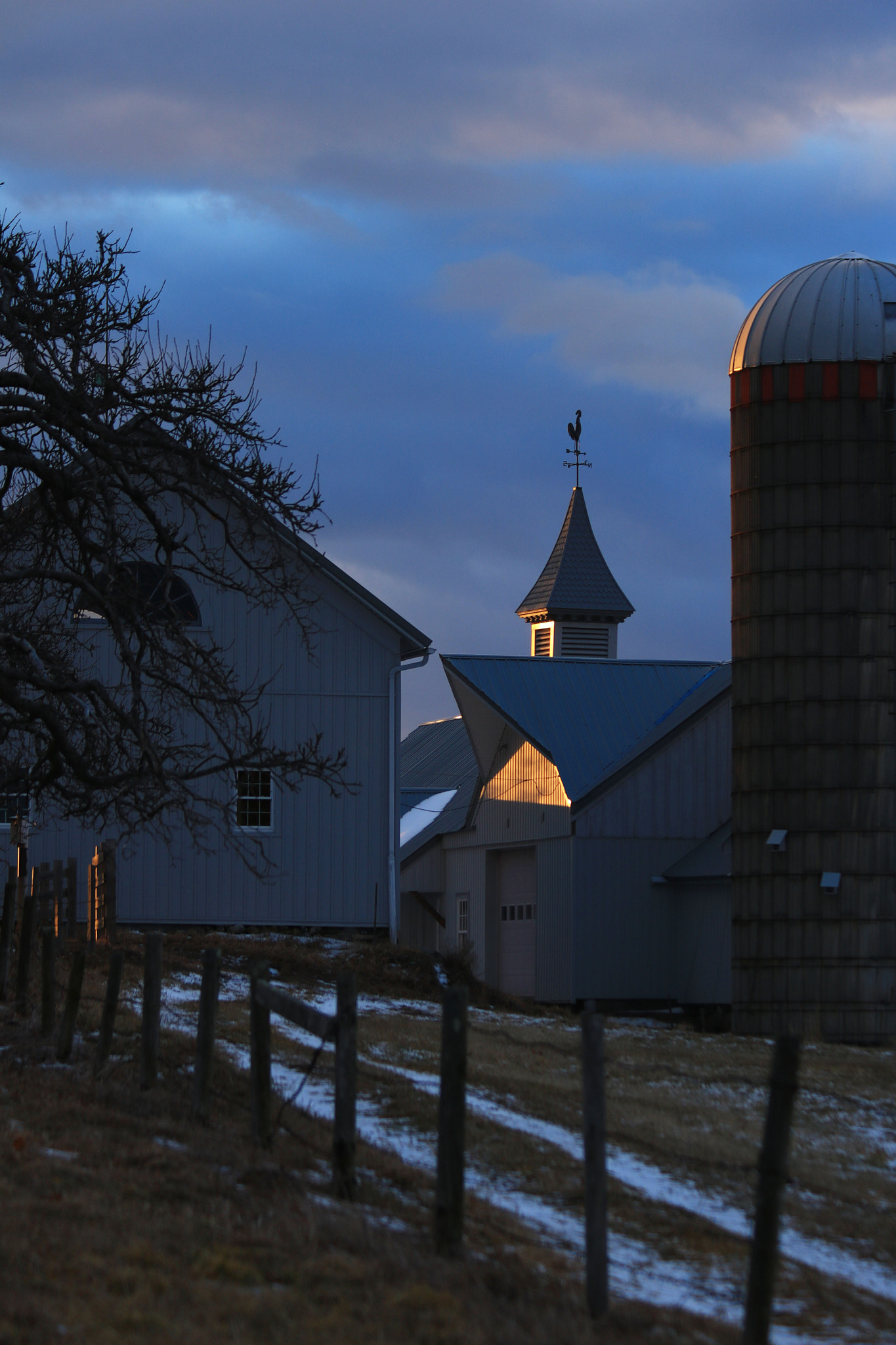 Canon EF 70-300mm F4-5.6 IS USM sample photo. Capturing light photography