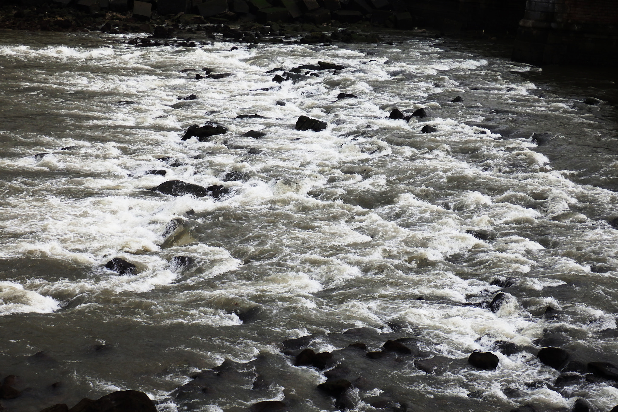 Olympus SZ-17 sample photo. Contracorriente photography