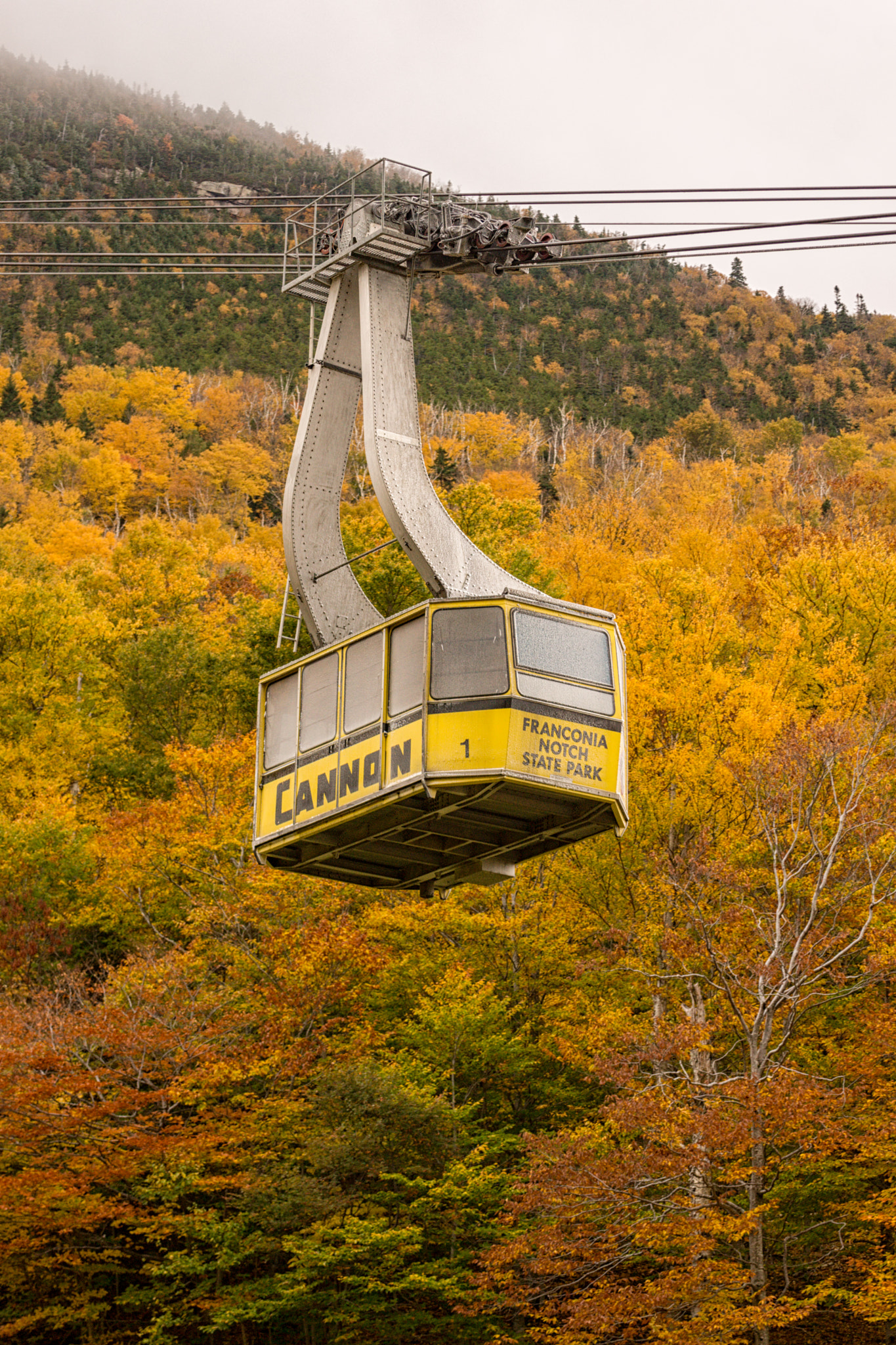 Sony SLT-A65 (SLT-A65V) + Tamron SP 70-300mm F4-5.6 Di USD sample photo. Cannon fall tram photography