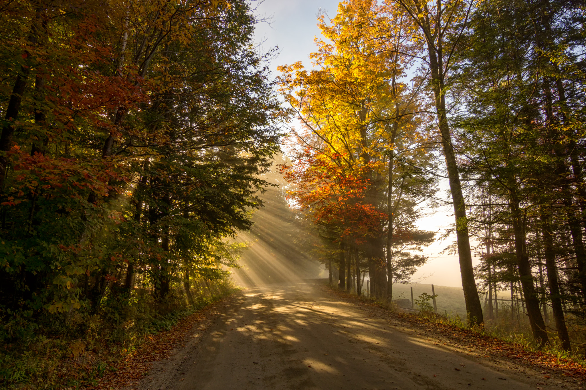 20mm F2.8 sample photo. Country road sunrays photography