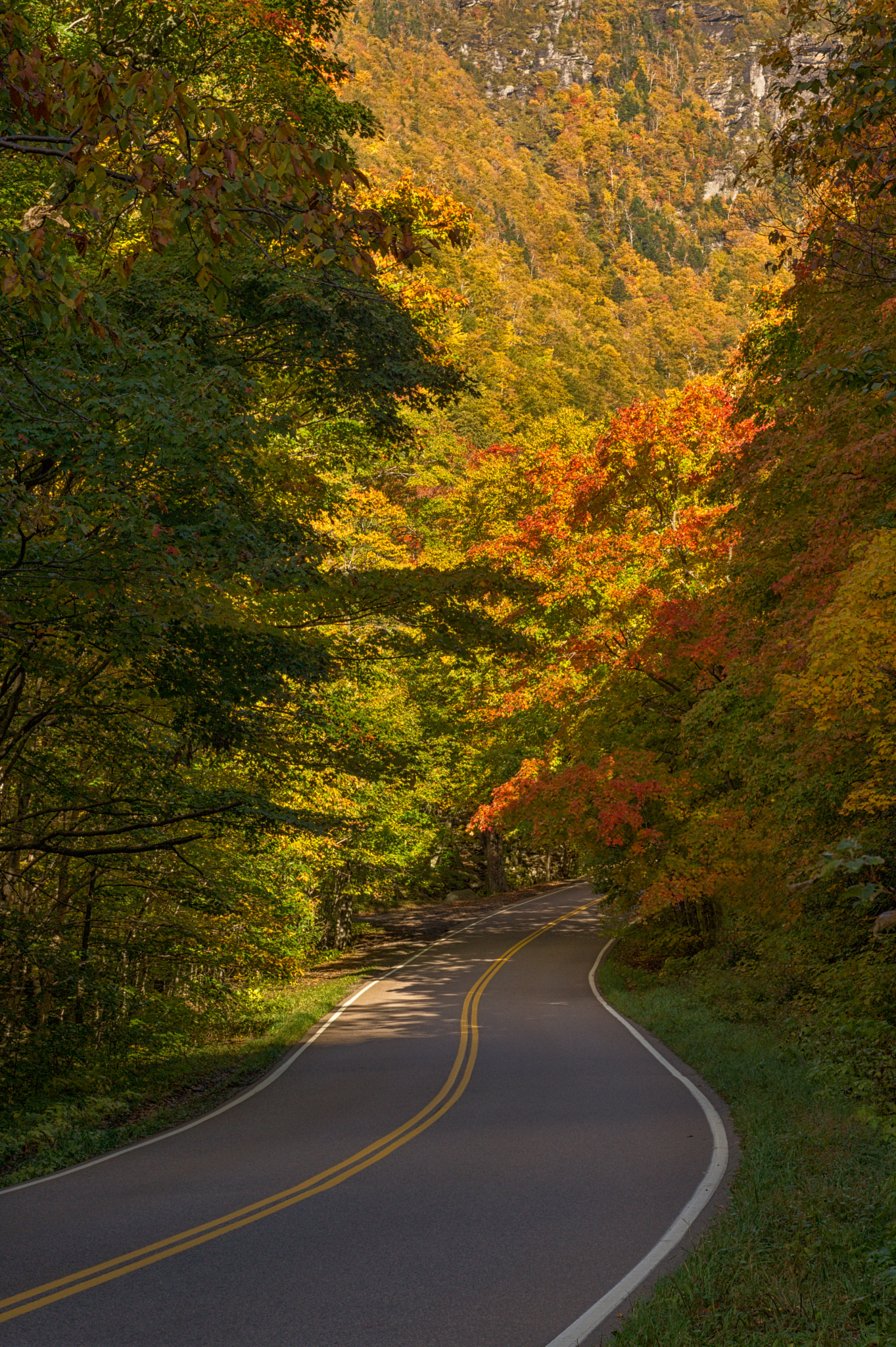 Sony SLT-A65 (SLT-A65V) + Minolta AF 50mm F1.7 sample photo. Smugglers notch foliage photography