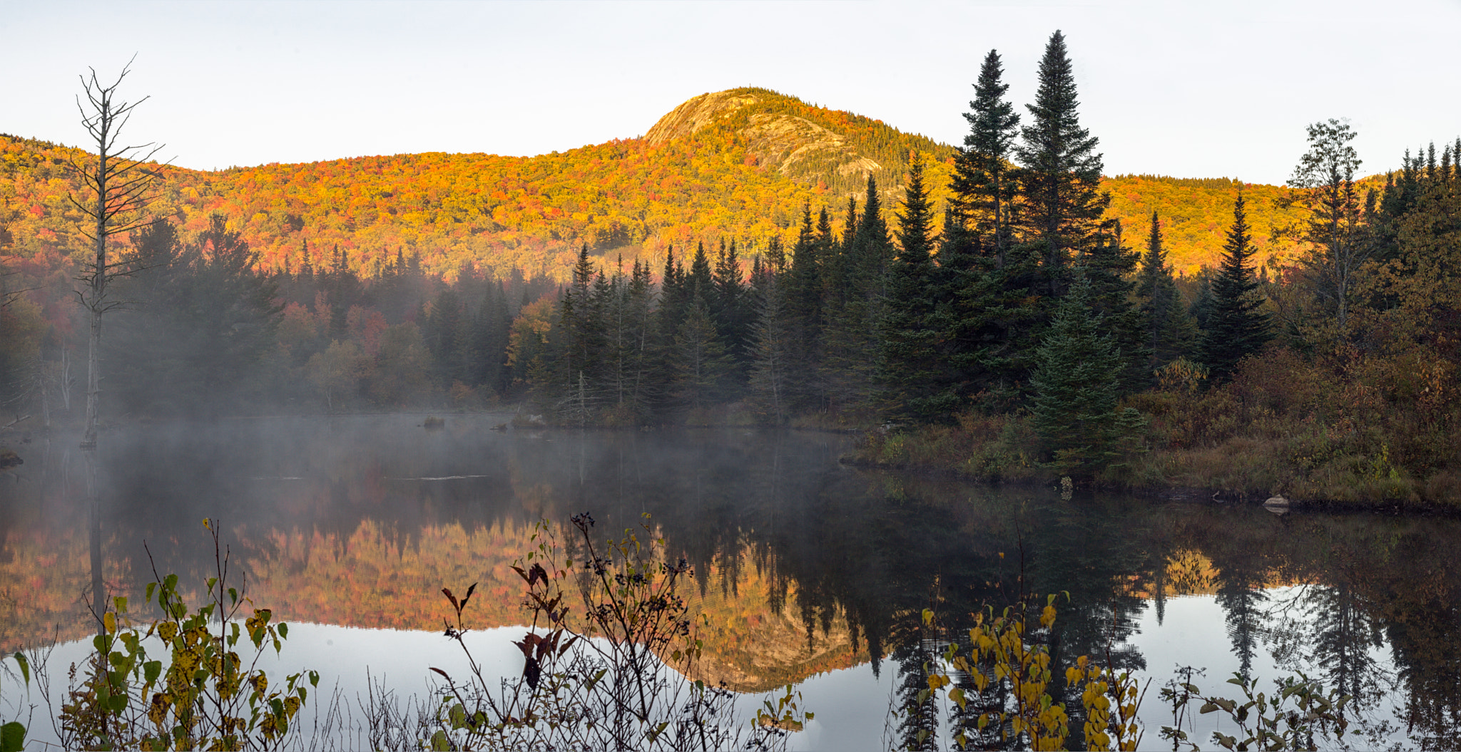 Sony SLT-A65 (SLT-A65V) + Minolta AF 50mm F1.7 sample photo. Sugarloaf over wildlife pond photography