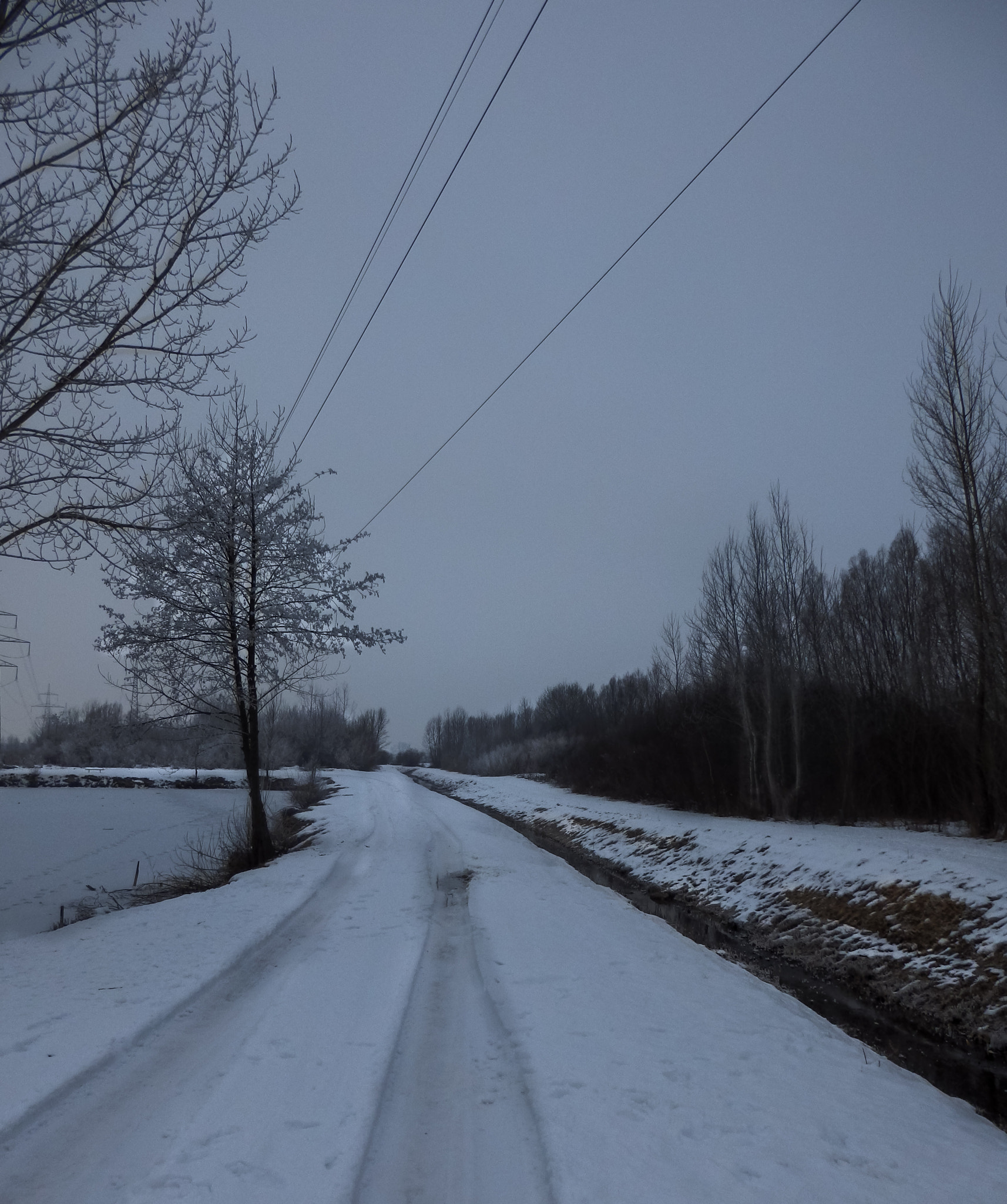 Olympus SZ-31MR sample photo. Car tracks. photography
