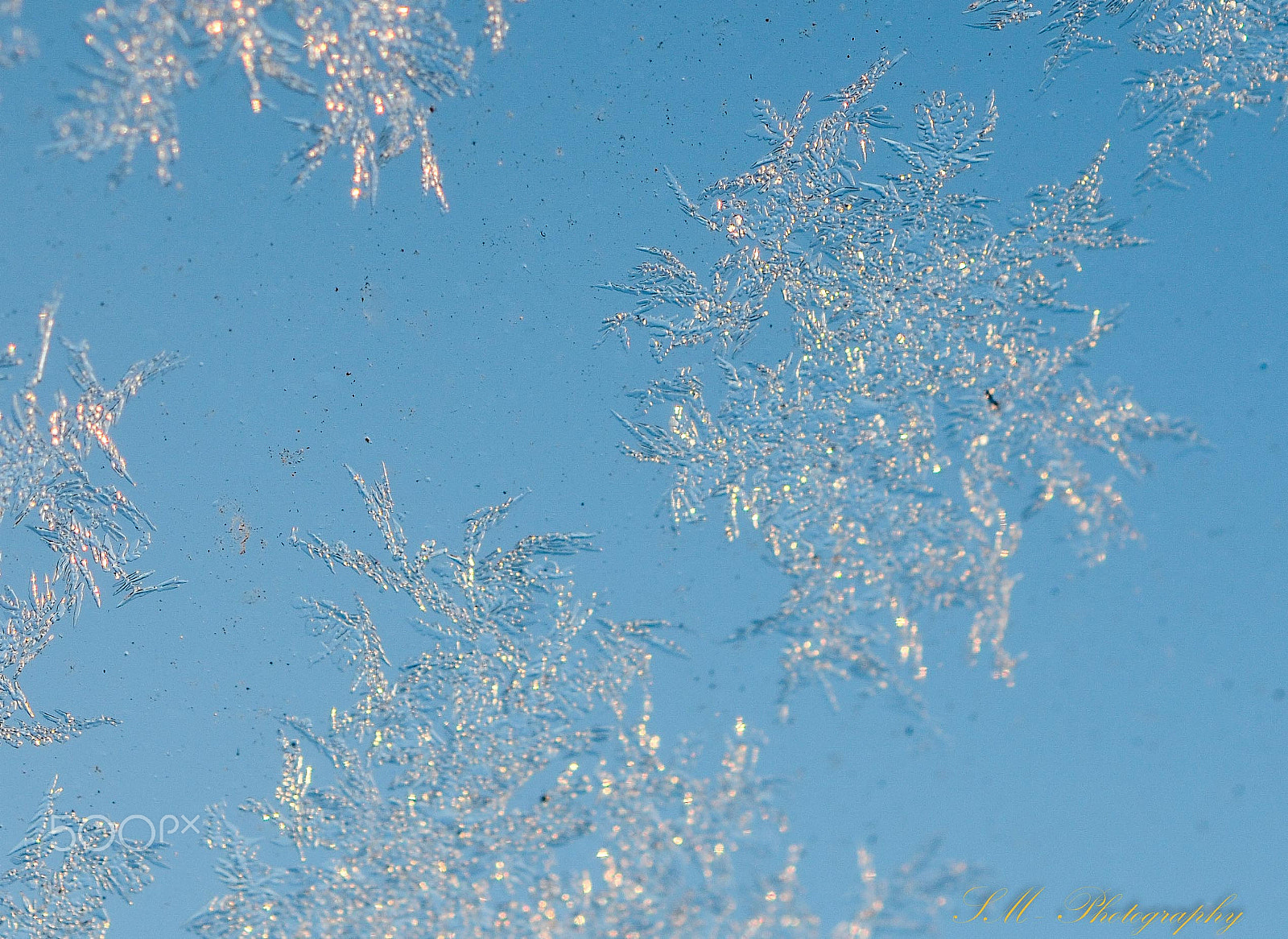 Nikon AF-S DX Micro Nikkor 40mm F2.8 sample photo. Window photography