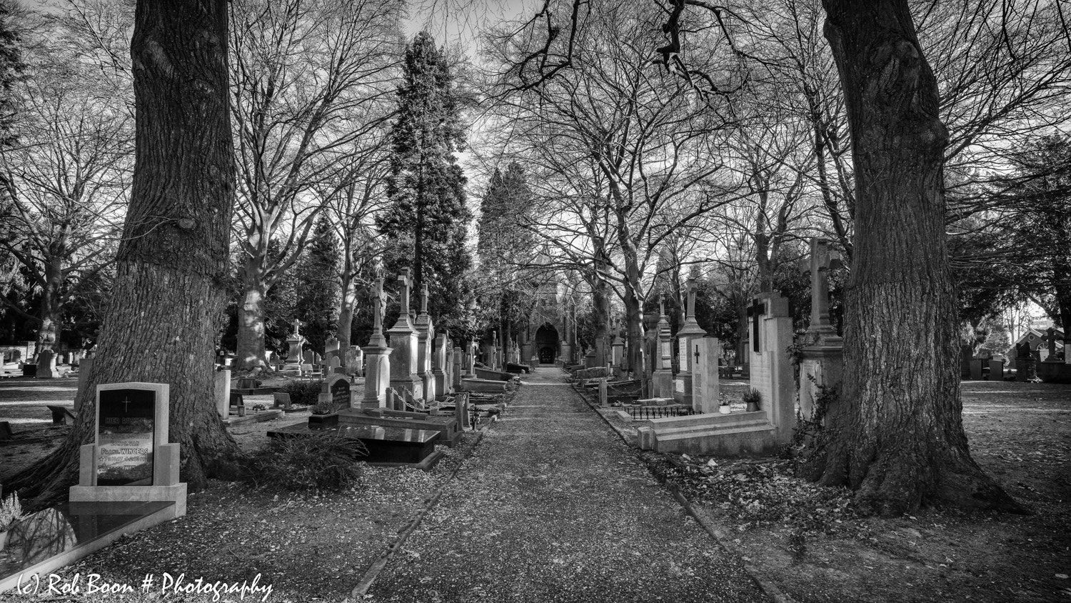Canon EF 16-35mm F4L IS USM sample photo. Cemetery tongerseweg @ maastricht 5 photography