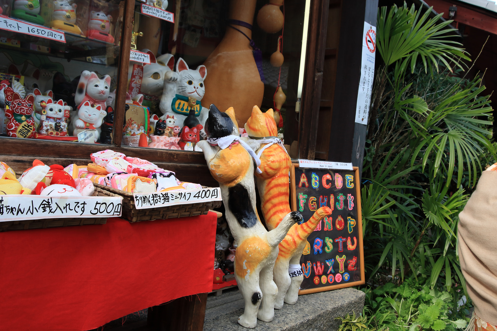 Canon EF 28-80mm f/3.5-5.6 USM sample photo. Cats photography