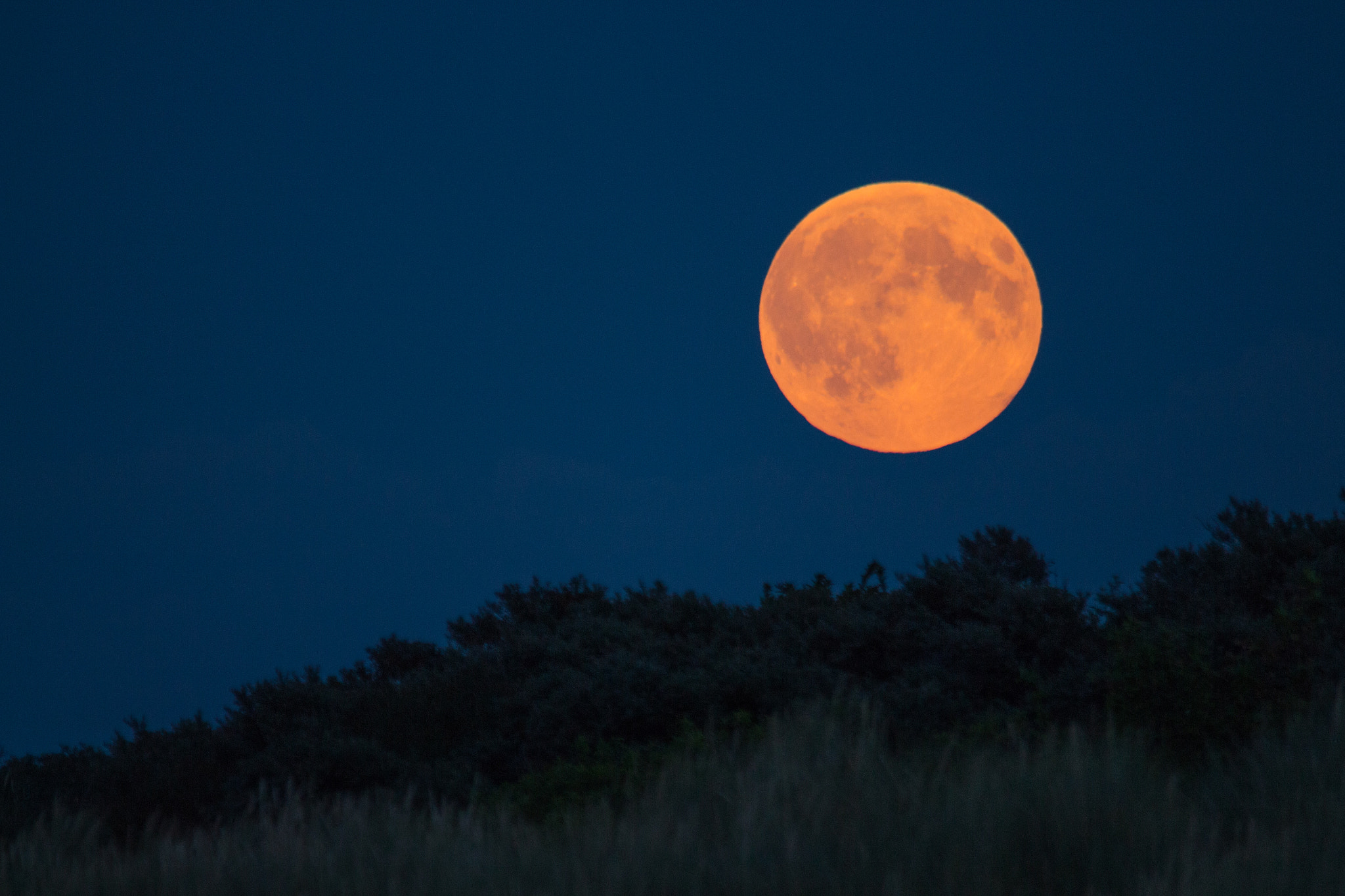 Sigma 150-500mm F5-6.3 DG OS HSM sample photo. Low moon 1 photography