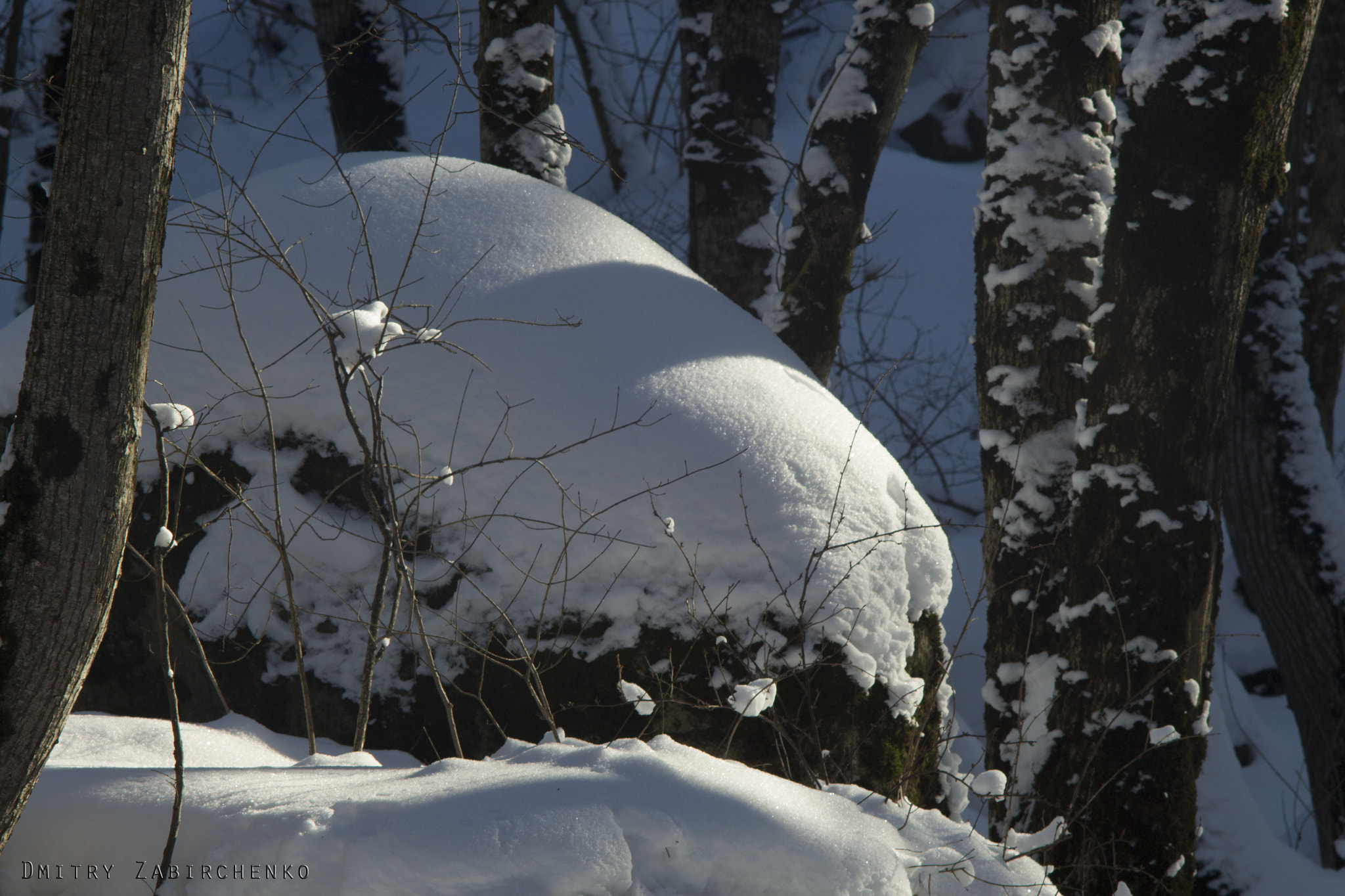 Canon EOS 700D (EOS Rebel T5i / EOS Kiss X7i) + Canon EF 35-80mm f/4-5.6 sample photo. Snow forest photography