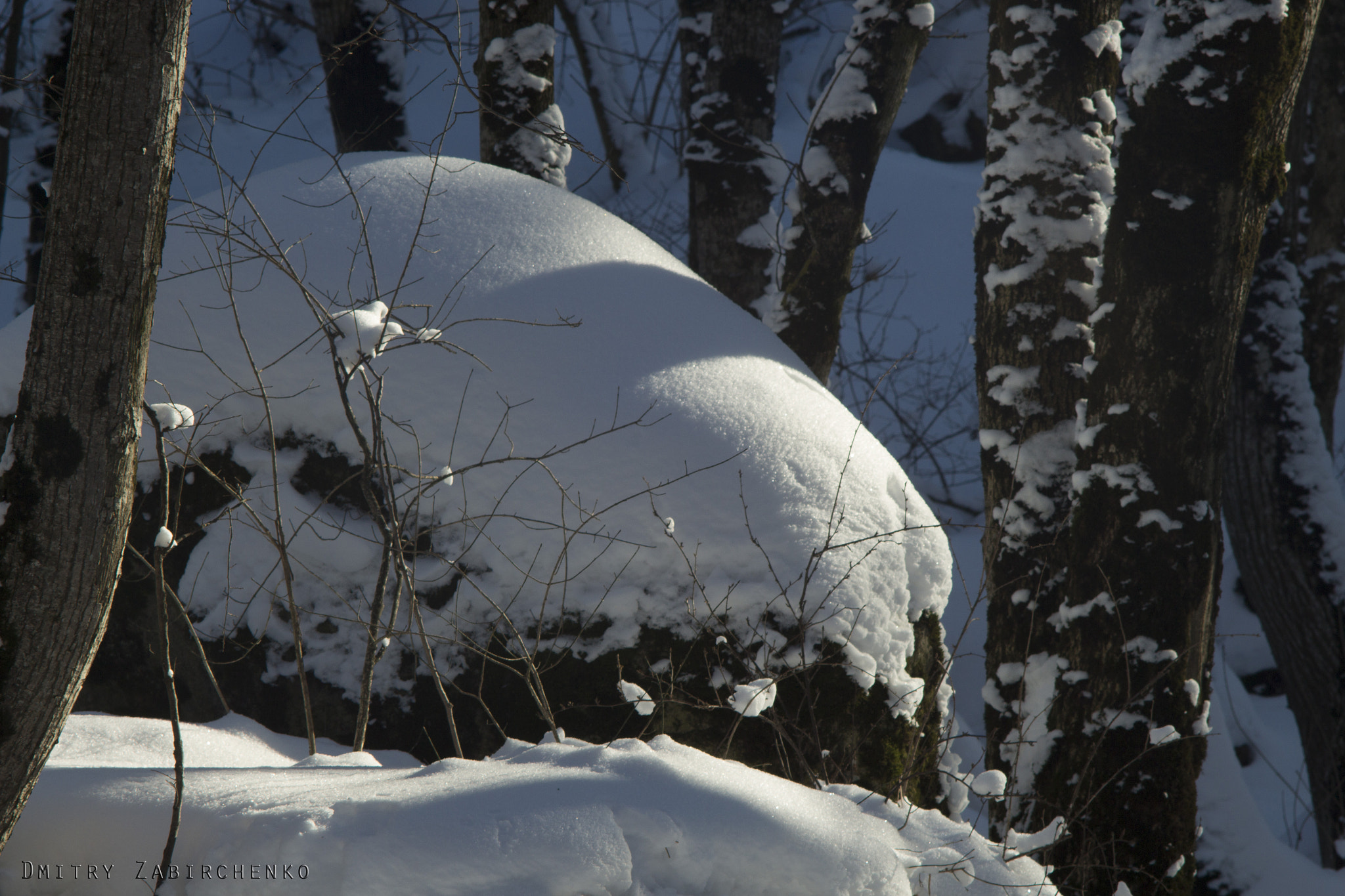 Canon EF 35-80mm f/4-5.6 sample photo. Snow forest photography