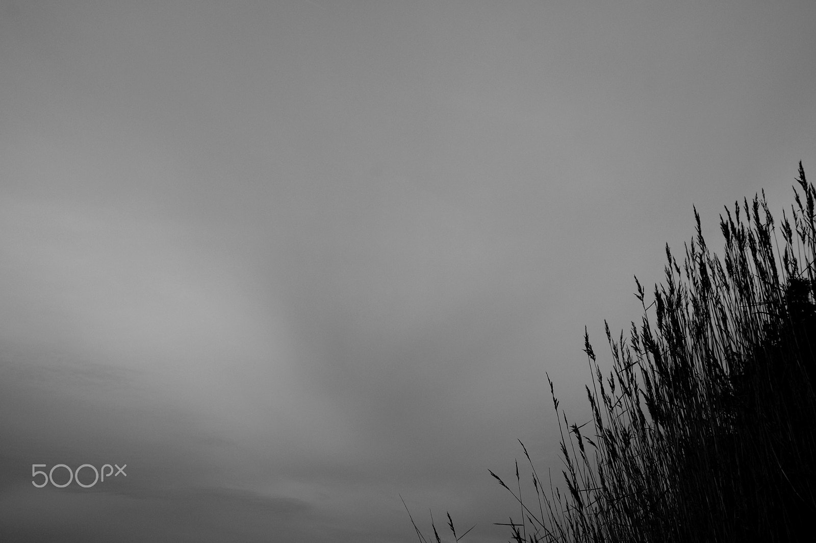 Sigma 17-35mm F2.8-4 EX DG sample photo. Community photography