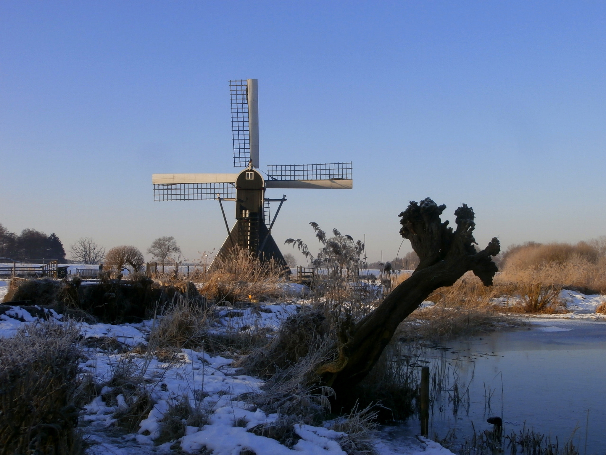 Olympus VR340,D750 sample photo. On a wintermorning. photography