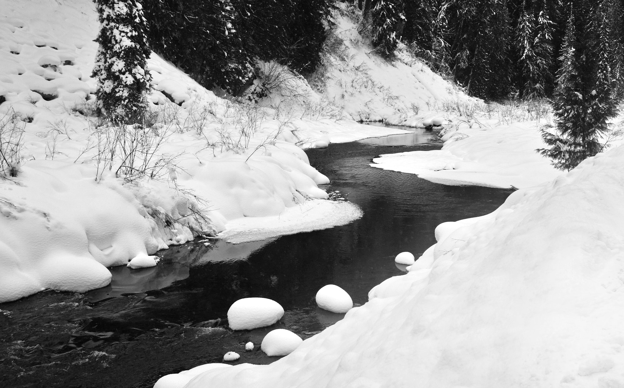 Sigma 17-70mm F2.8-4 DC Macro OS HSM | C sample photo. Winter beauty photography