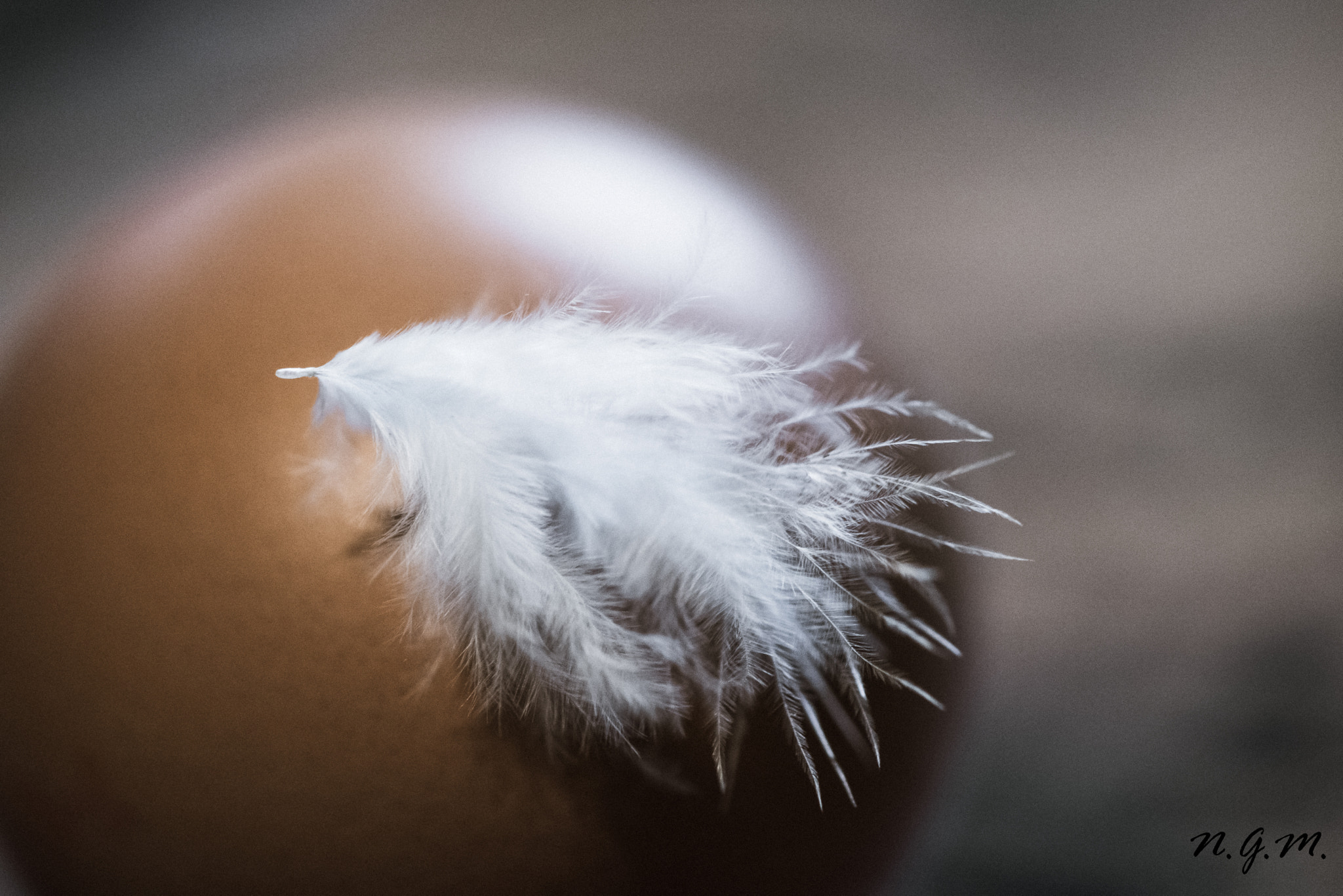 Nikon AF-S DX Micro-Nikkor 85mm F3.5G ED VR sample photo. Eggfeather photography