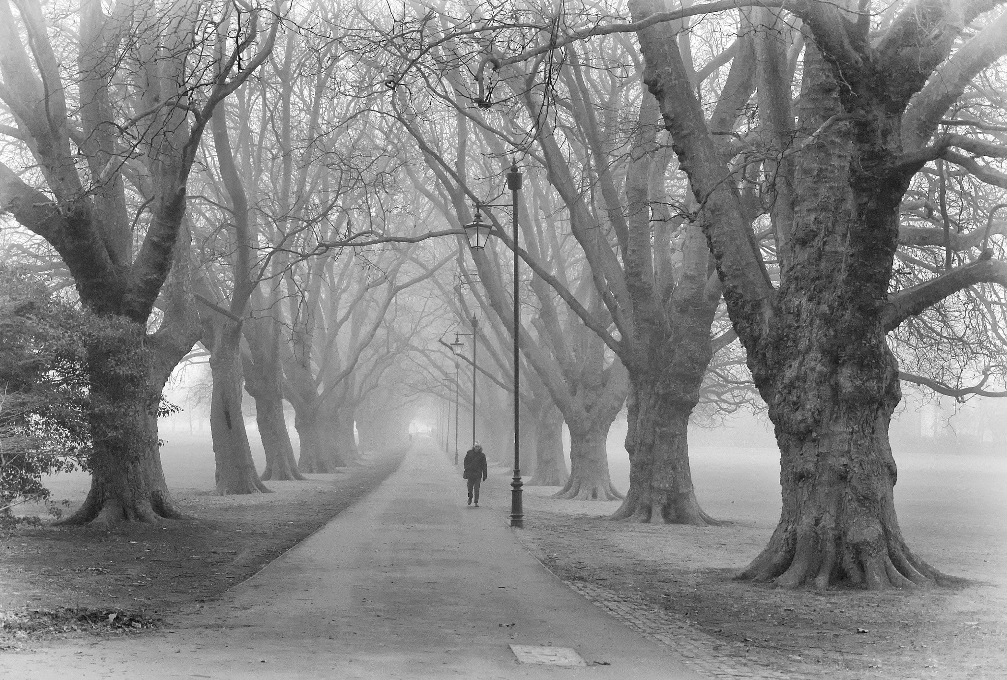 Olympus OM-D E-M10 + Olympus M.Zuiko Digital 25mm F1.8 sample photo. Chilly n misty photography