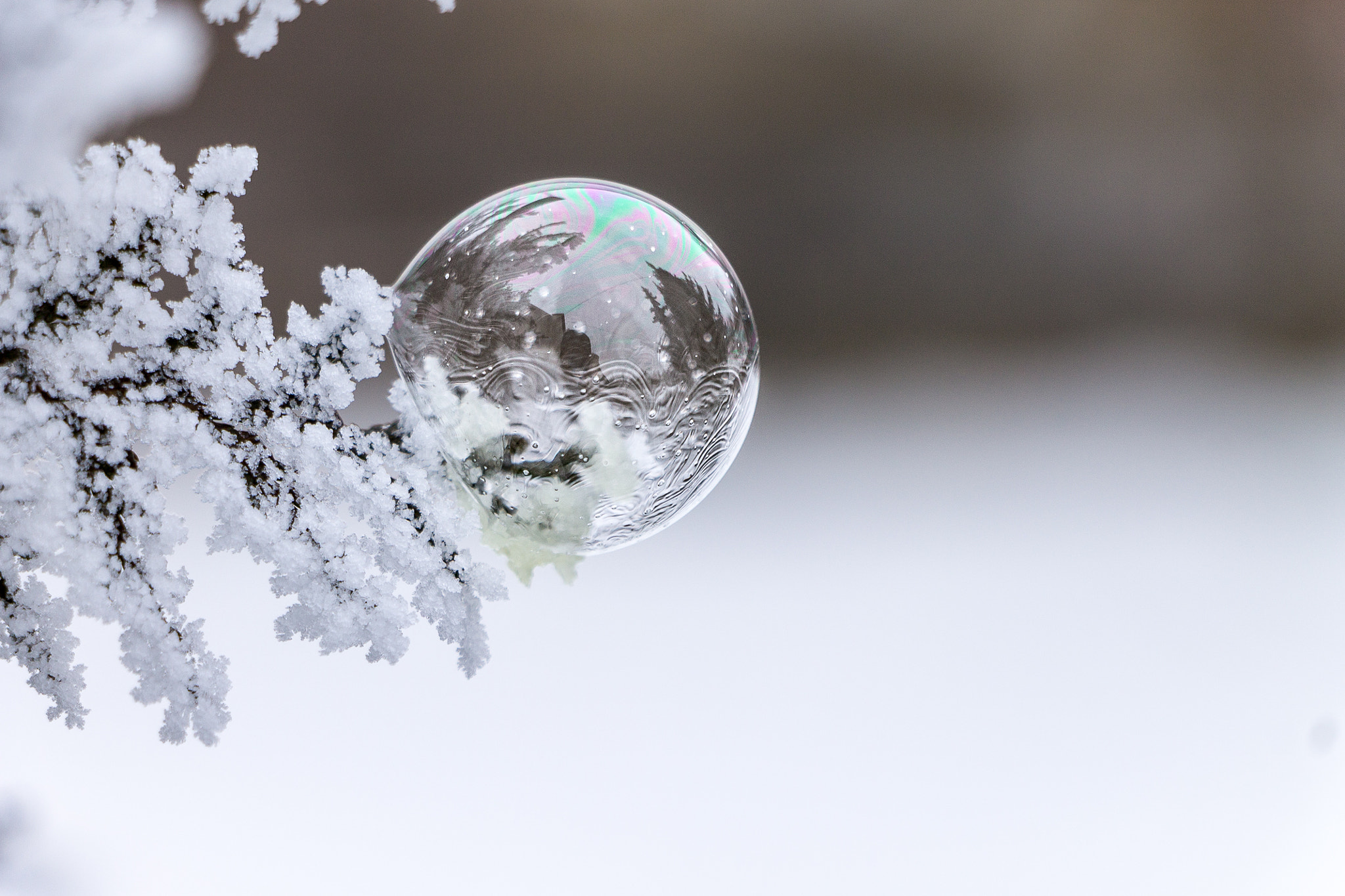 Canon EOS 1100D (EOS Rebel T3 / EOS Kiss X50) sample photo. Iced bubble 2 photography