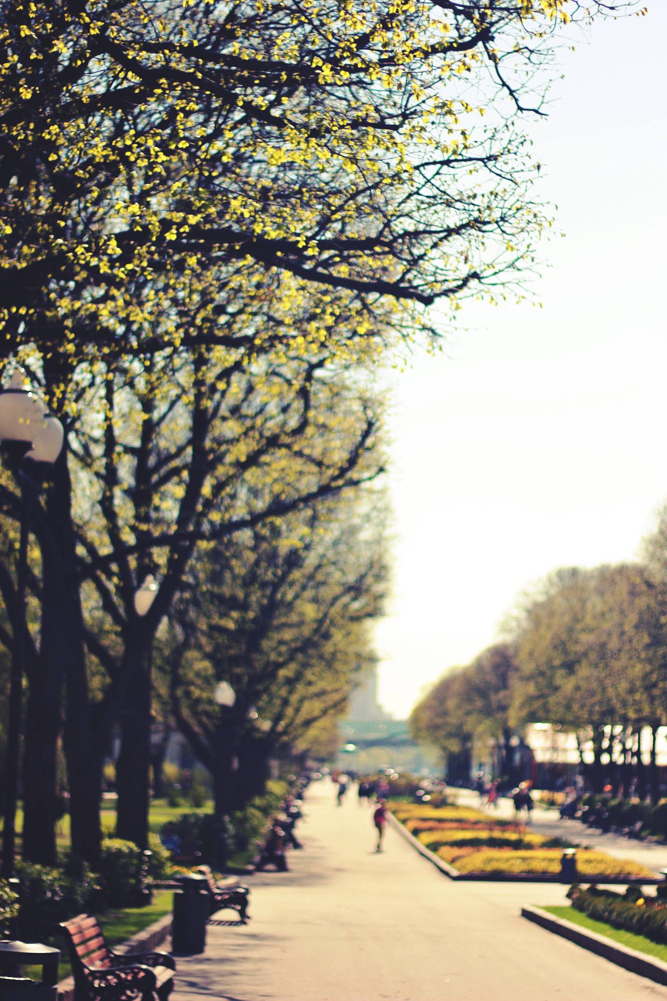 Canon EOS 550D (EOS Rebel T2i / EOS Kiss X4) + Canon EF 50mm F1.8 II sample photo. Processed with rookie photography