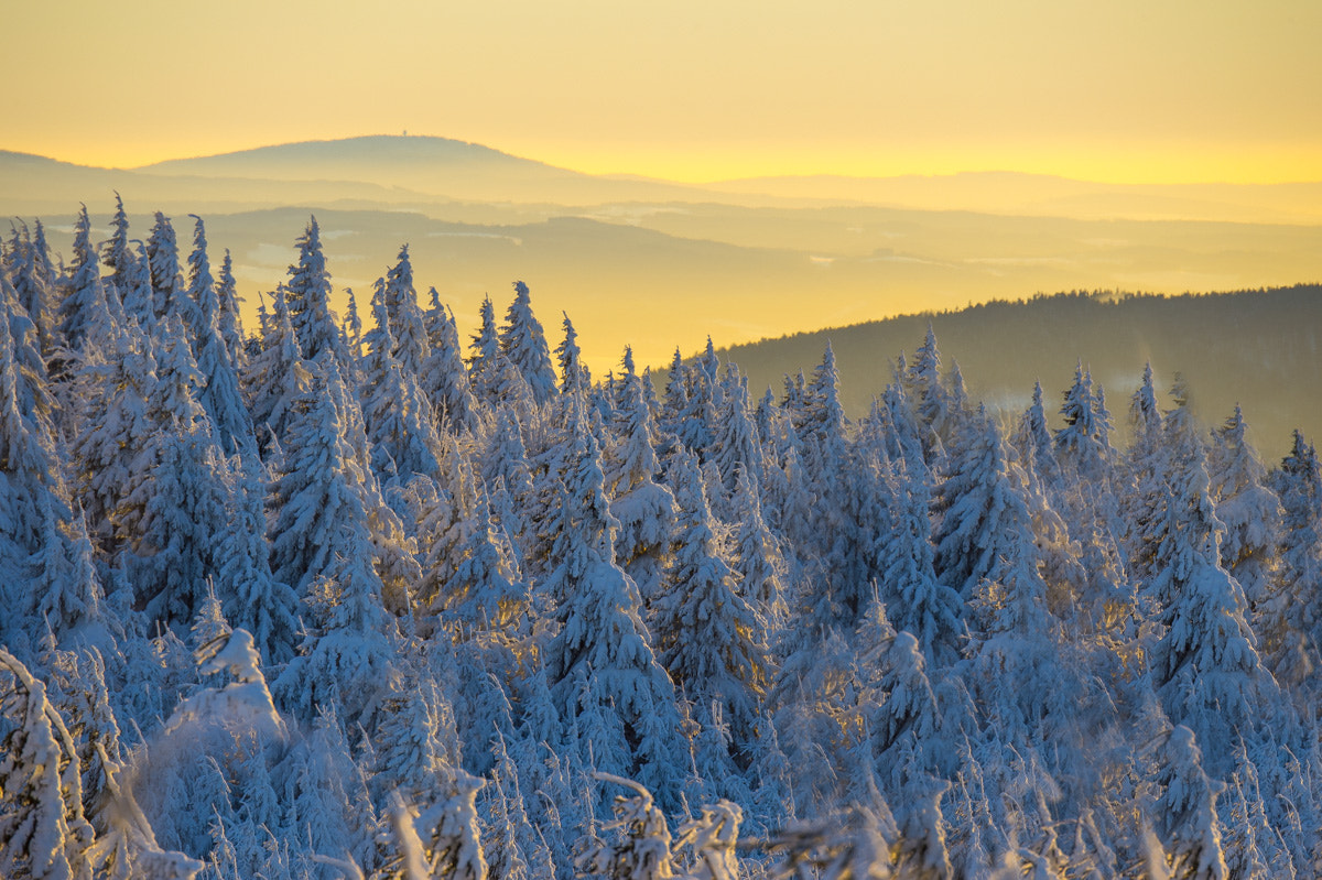 Nikon D4 sample photo. Golden sunset photography