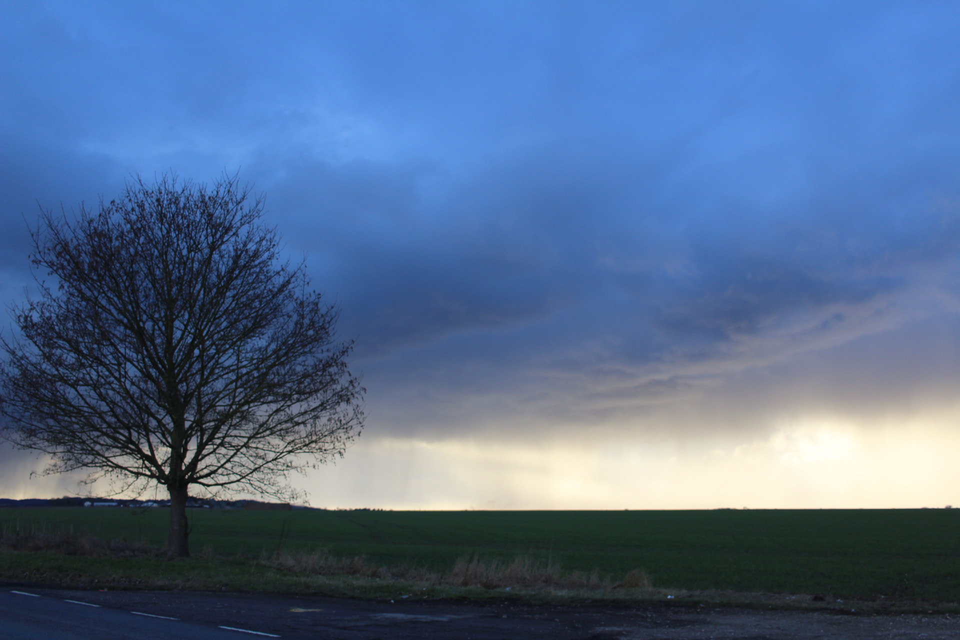 Canon EF-S 24mm F2.8 STM sample photo
