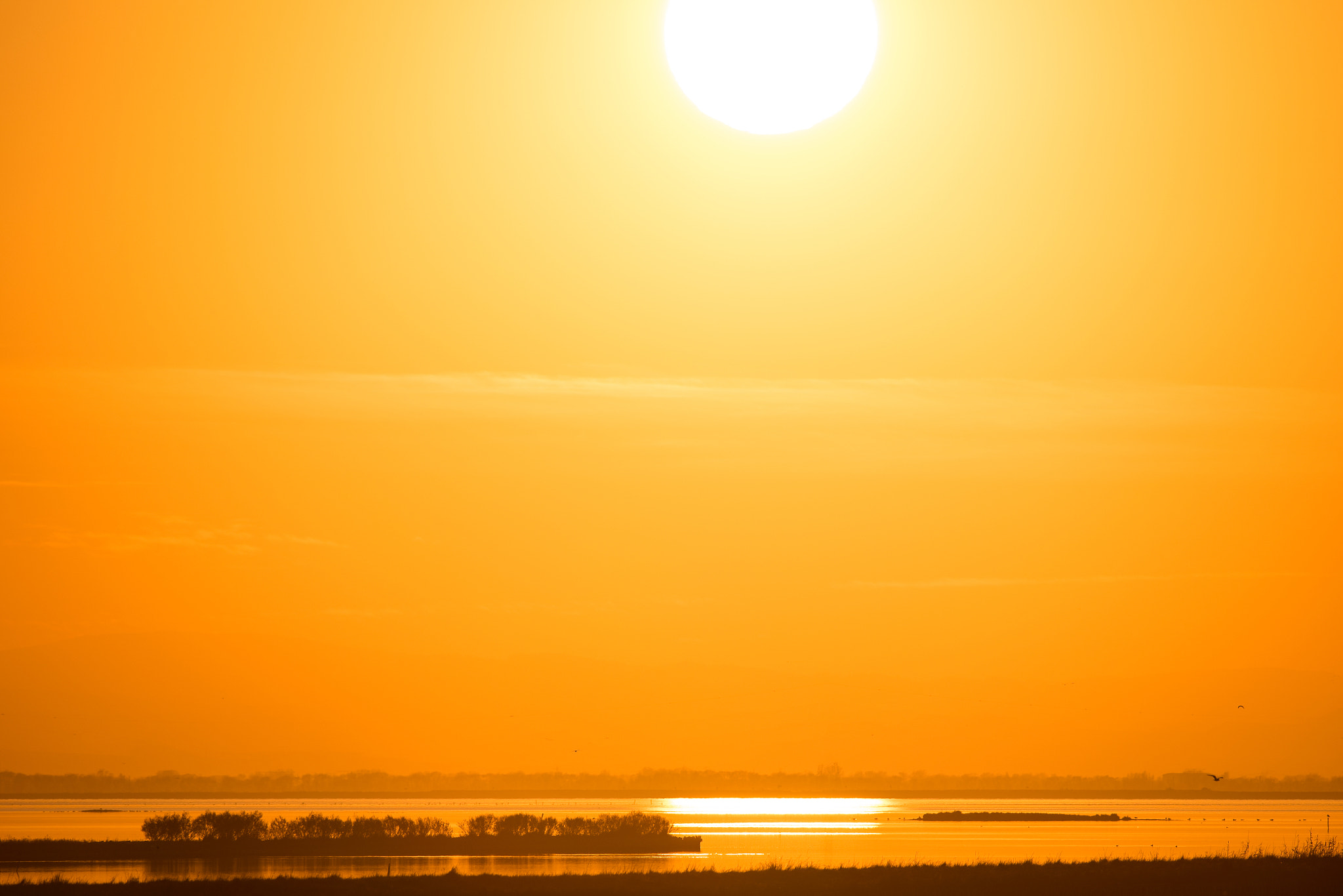 Nikon D750 sample photo. Sunset on comacchio valley photography