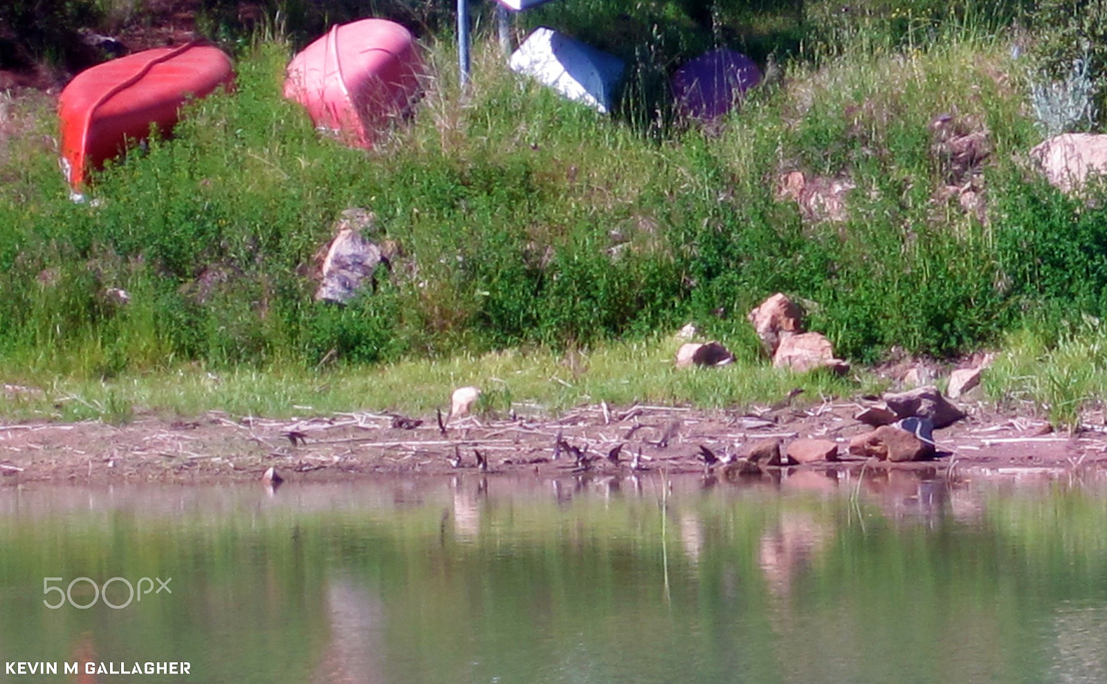 Canon PowerShot SD1200 IS (Digital IXUS 95 IS / IXY Digital 110 IS) sample photo. Canoes and birds o photography