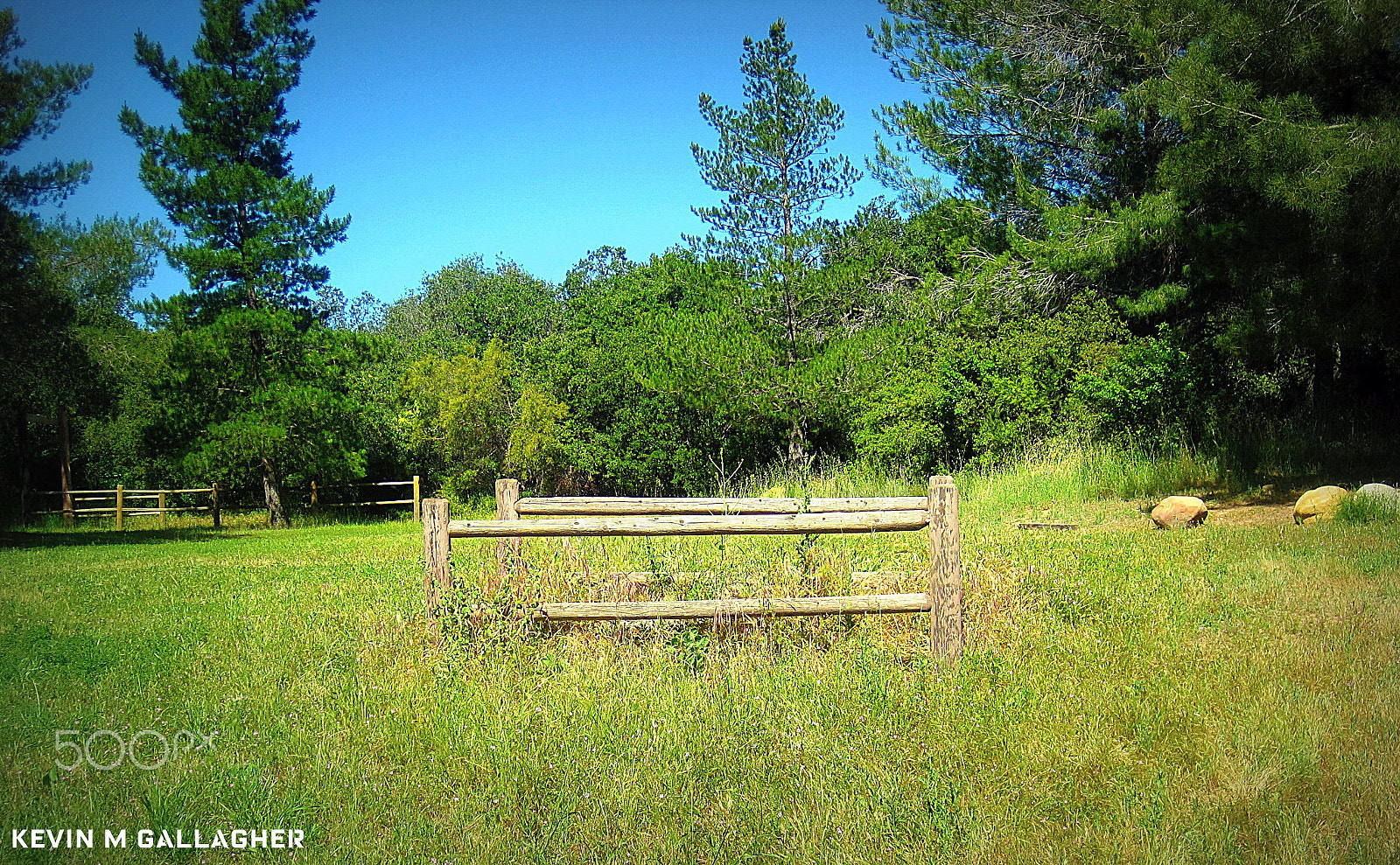 Canon PowerShot SD1200 IS (Digital IXUS 95 IS / IXY Digital 110 IS) sample photo. Fence for a tree o photography