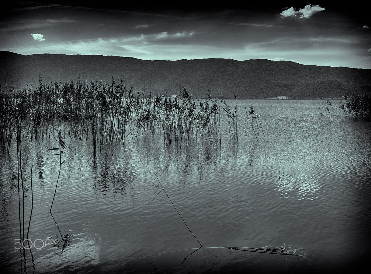 Leica Summicron-M 35mm F2 ASPH sample photo. Lake prespa photography