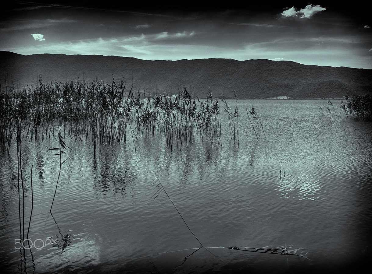 Leica M9 + Leica Summicron-M 35mm F2 ASPH sample photo. Lake prespa photography