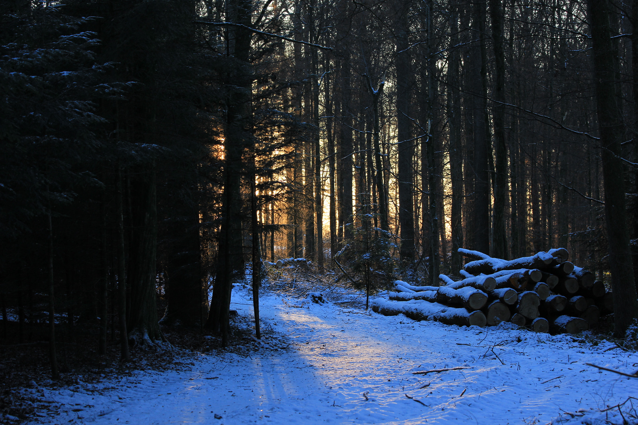 Canon EF 70-300mm F4-5.6 IS USM sample photo. Winter walk photography