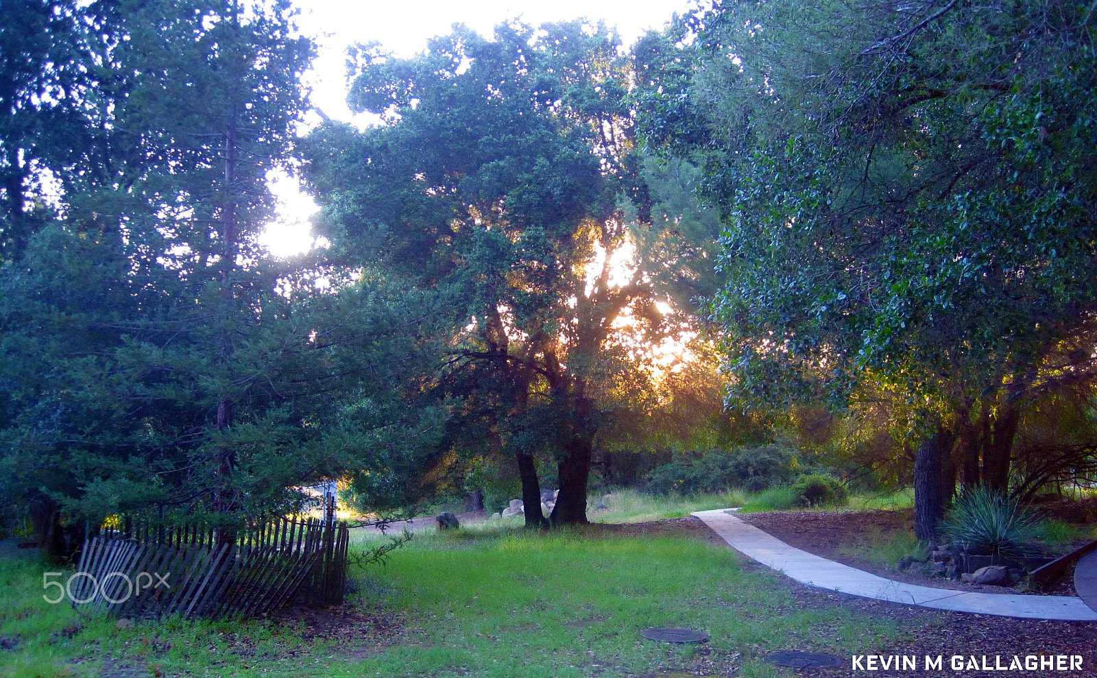 Canon PowerShot SD1200 IS (Digital IXUS 95 IS / IXY Digital 110 IS) sample photo. Sun like fire through the trees o photography