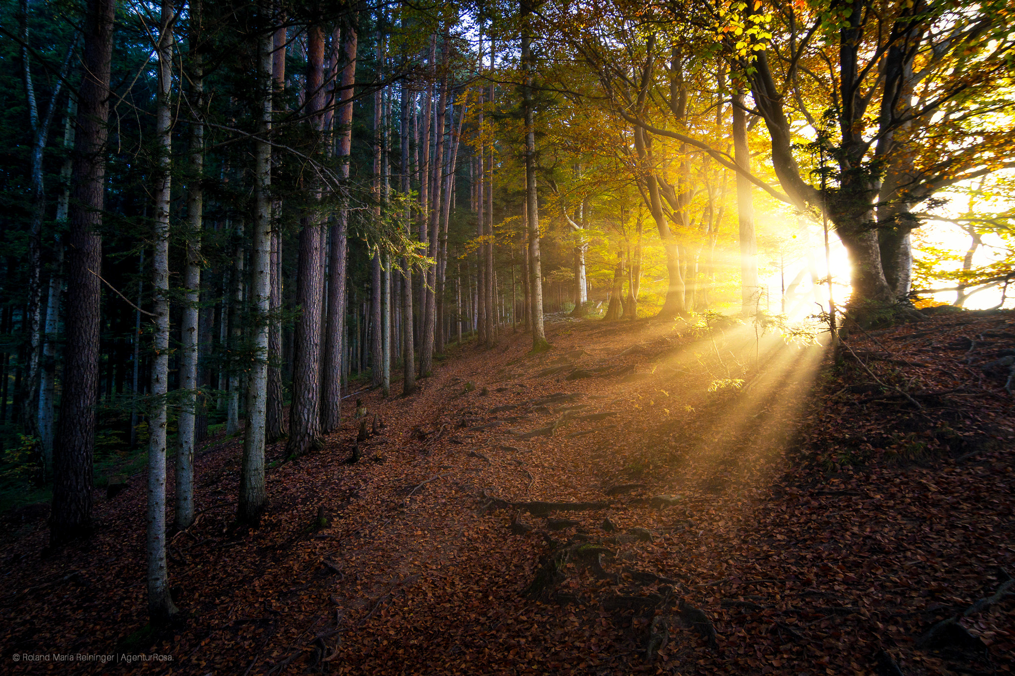 Tokina AT-X Pro 12-24mm F4 (IF) DX sample photo. Lightintotwo photography