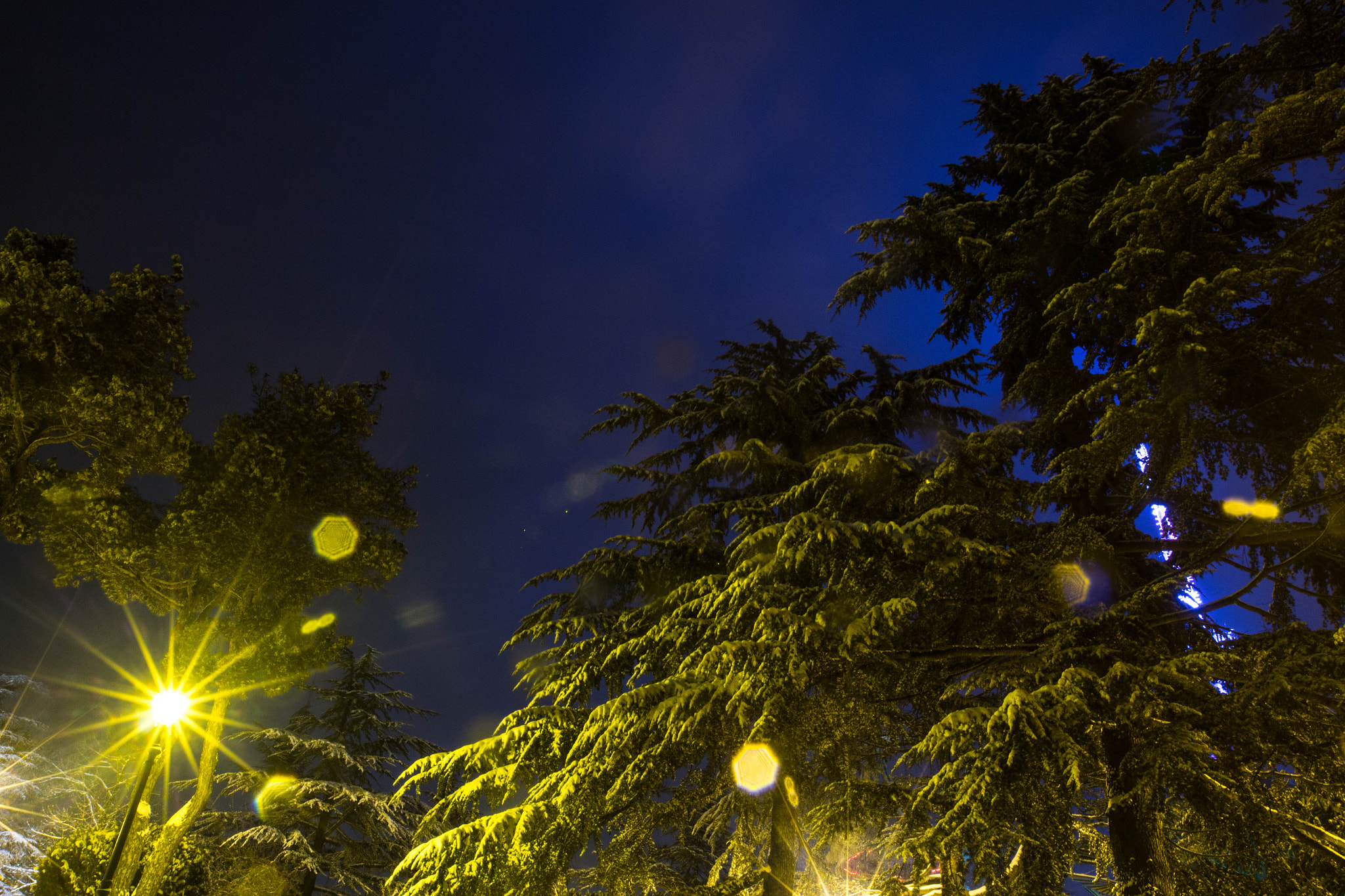 Canon EF 16-35mm F2.8L II USM sample photo. Georgia, tbilisi, mtatsminda park photography