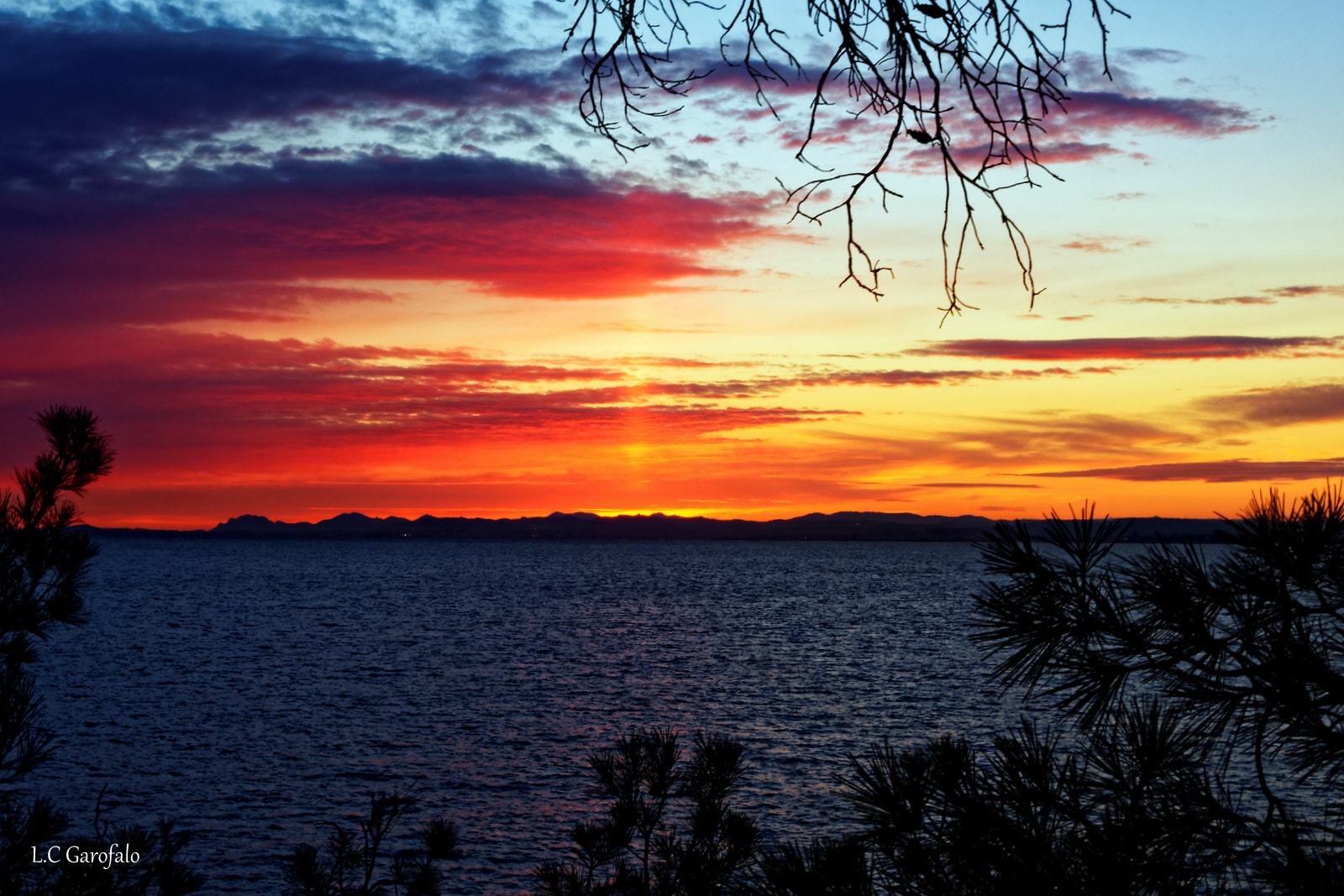 Nikon D500 sample photo. Couleurs chaudes photography