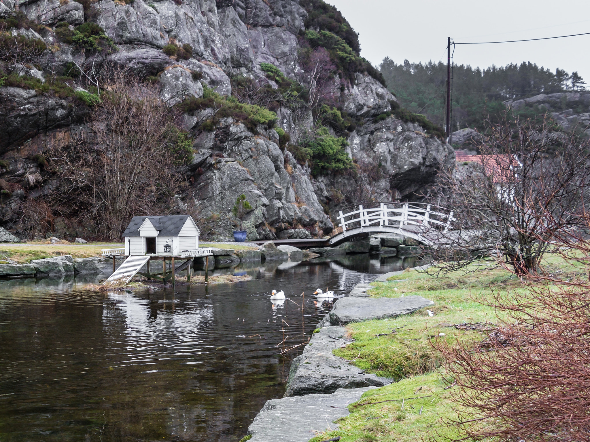 Samsung NX30 + Samsung NX 18-55mm F3.5-5.6 OIS sample photo. "idyllic duck pond" photography