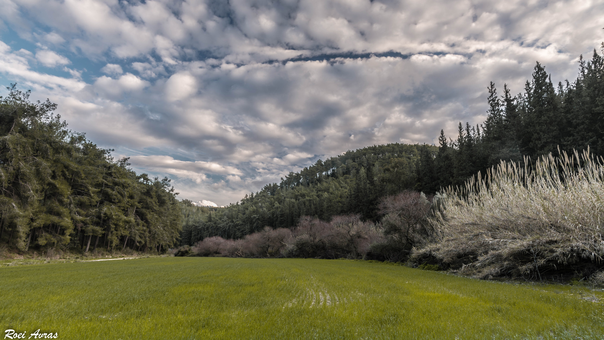 Nikon D800E + Nikon AF-S Nikkor 20mm F1.8G ED sample photo. Dsc photography