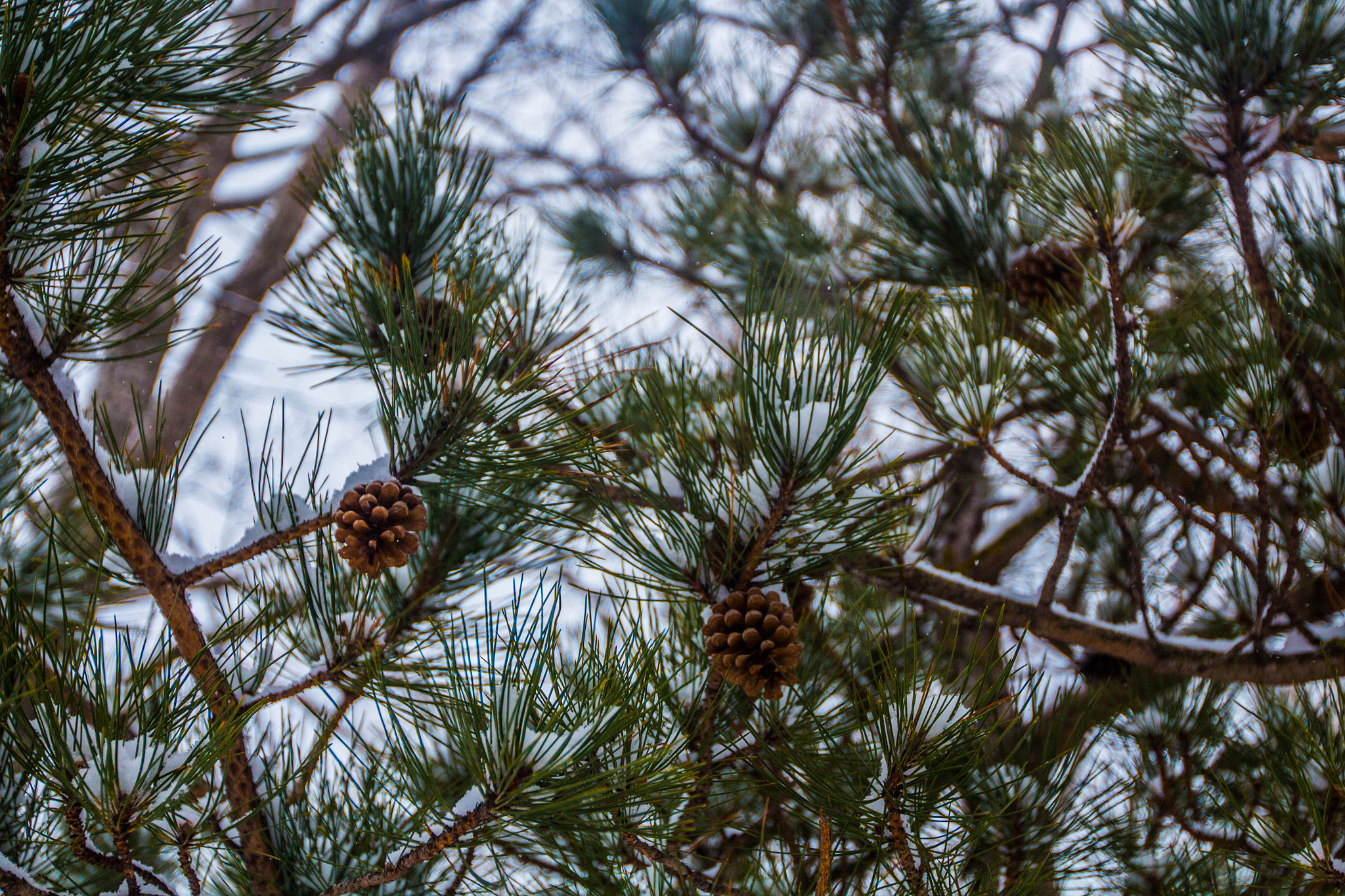 Canon EF 16-35mm F2.8L II USM sample photo