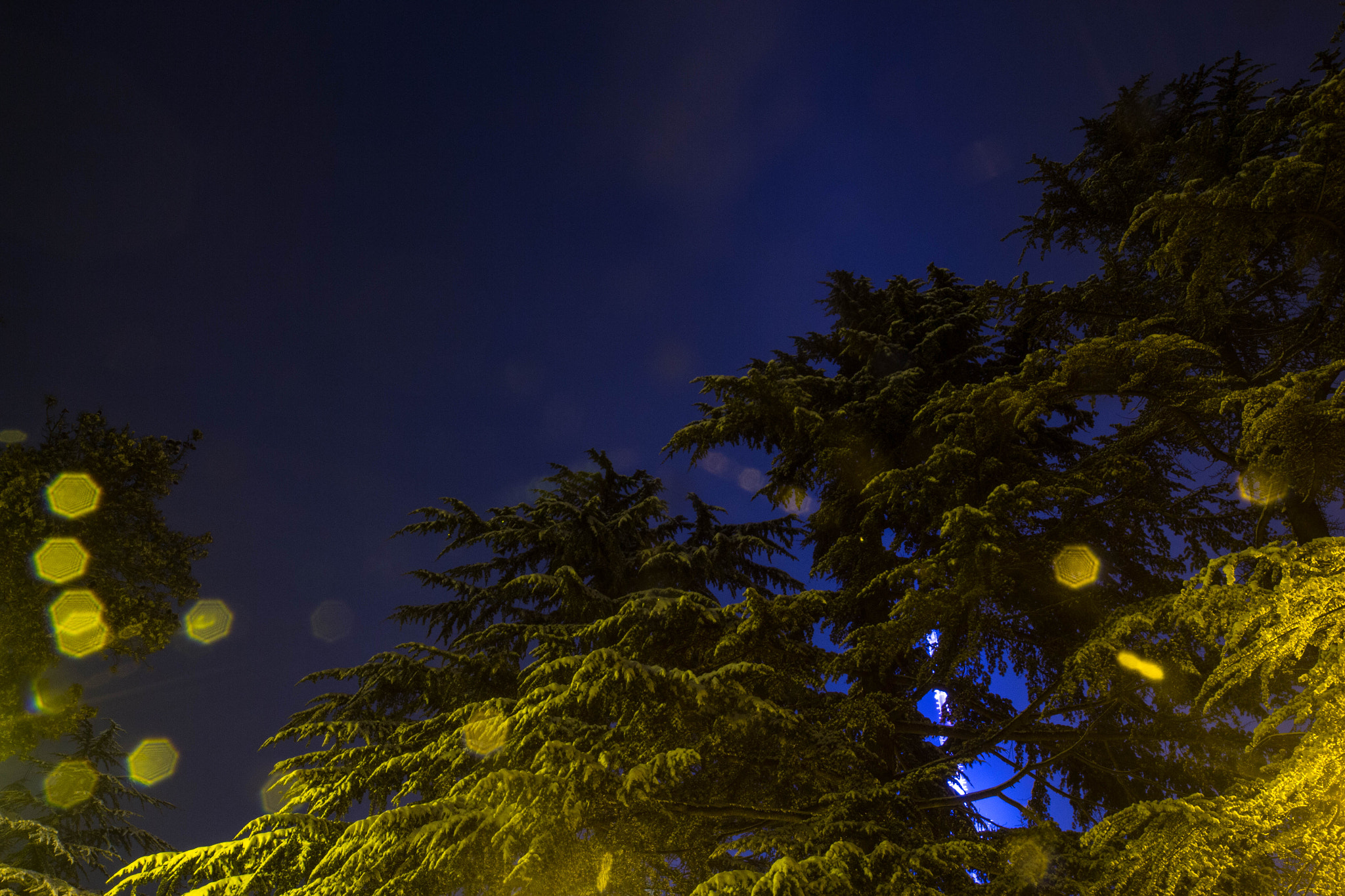 Canon EF 16-35mm F2.8L II USM sample photo