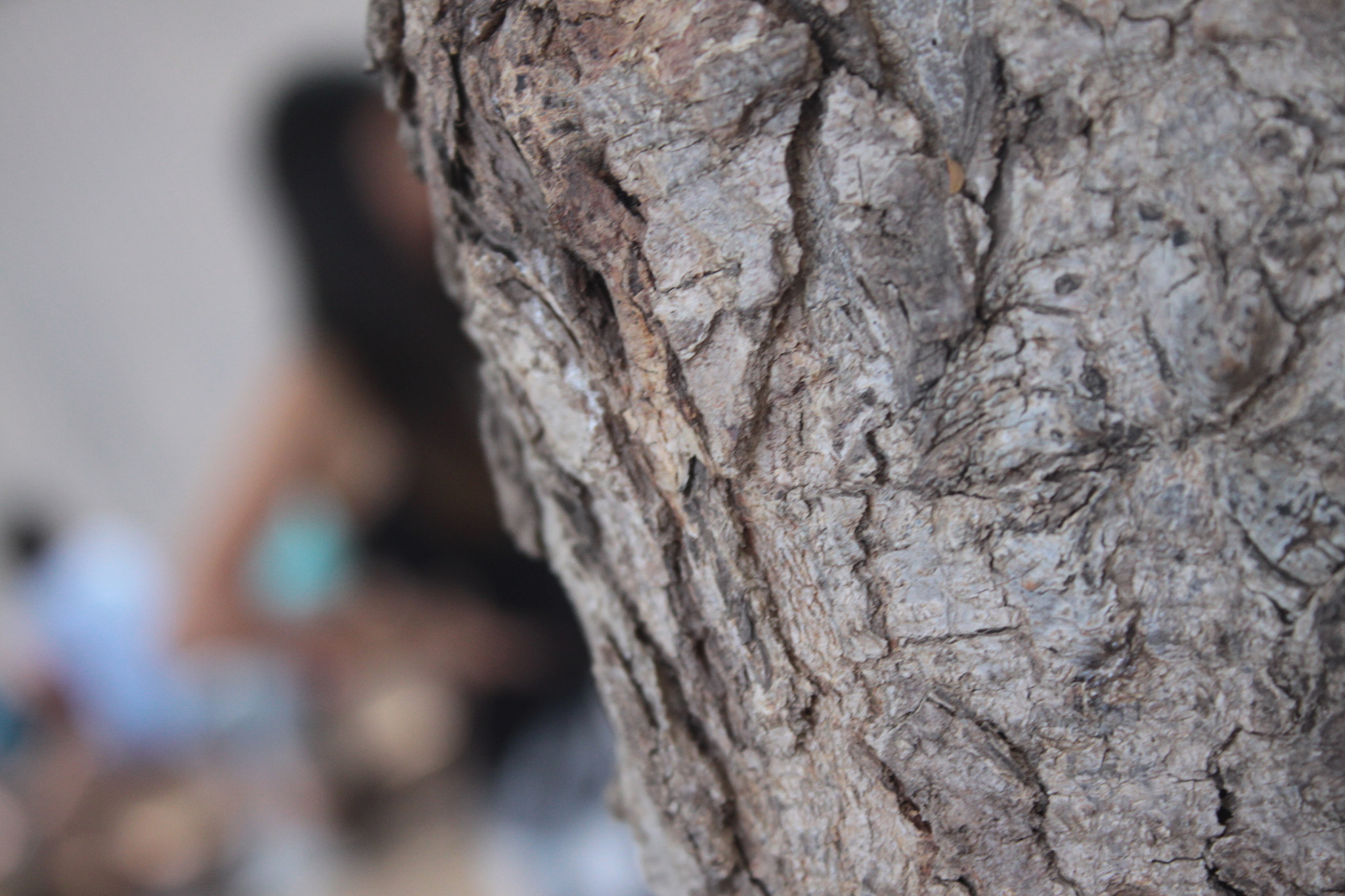 Canon EOS 50D sample photo
