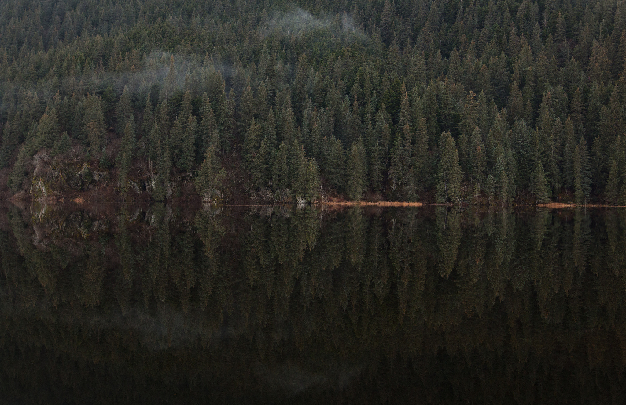Sigma 24mm F1.4 DG HSM Art sample photo. Mirrored pines photography