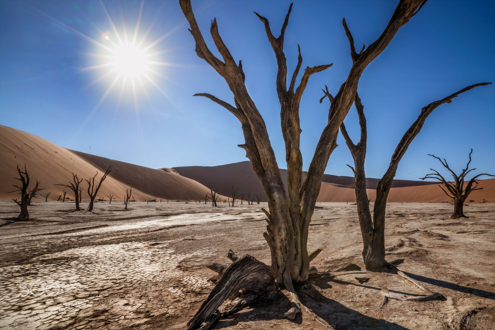 Sony a99 II sample photo. Namibia 1 photography