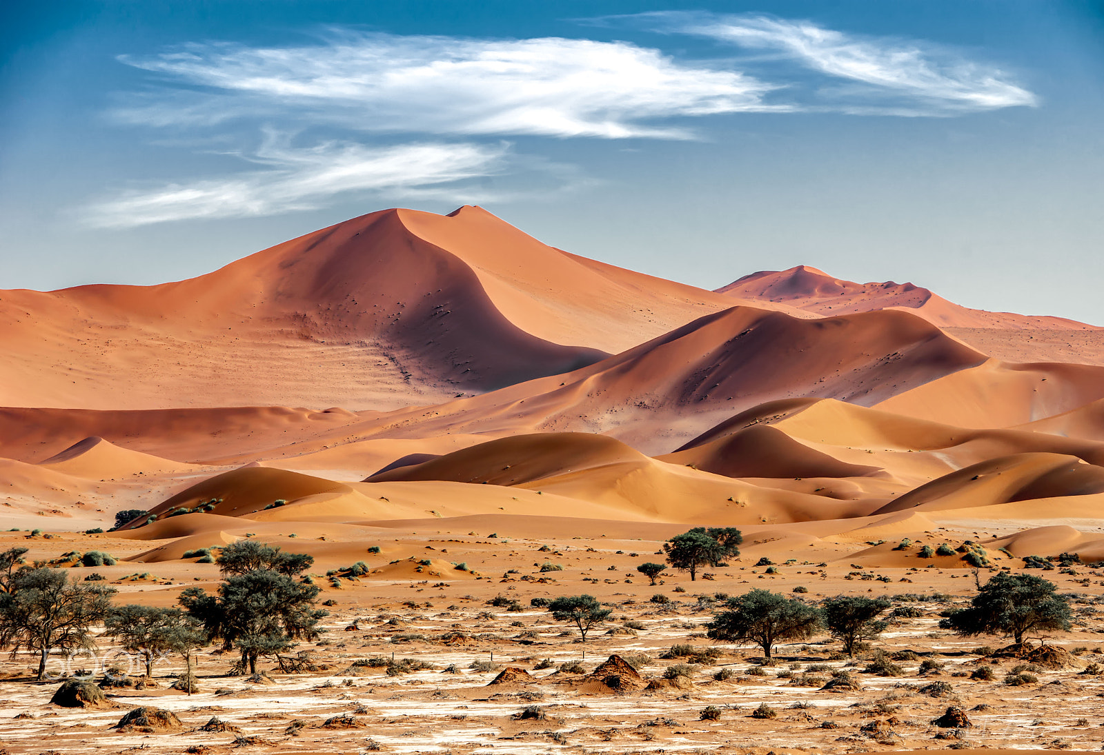 Sony 70-200mm F2.8 G SSM II sample photo. Namibia 2 photography