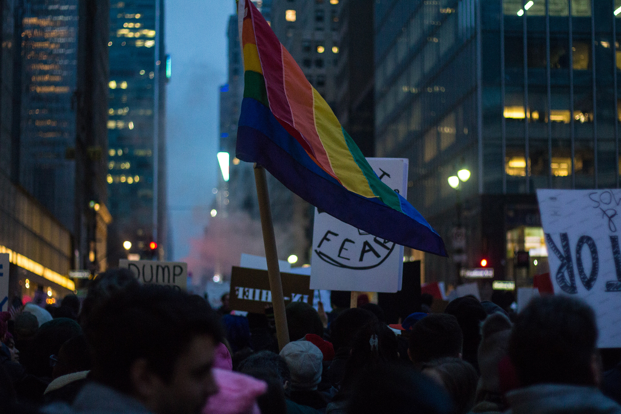 Canon EOS 650D (EOS Rebel T4i / EOS Kiss X6i) sample photo. Women's march nyc 2017 - 4 photography