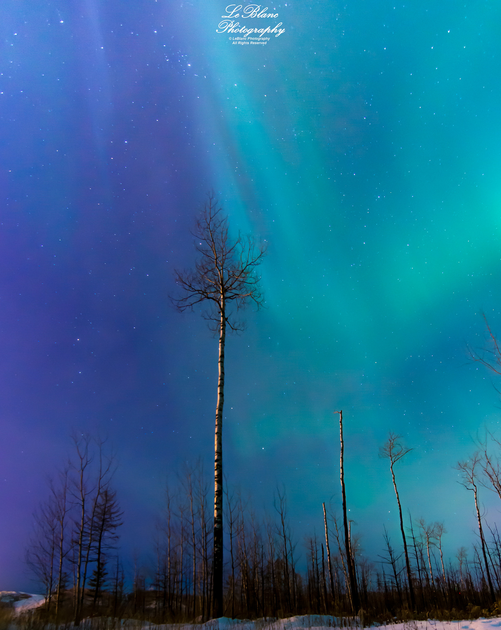 Tokina AT-X Pro 11-16mm F2.8 DX sample photo. "survive" photography