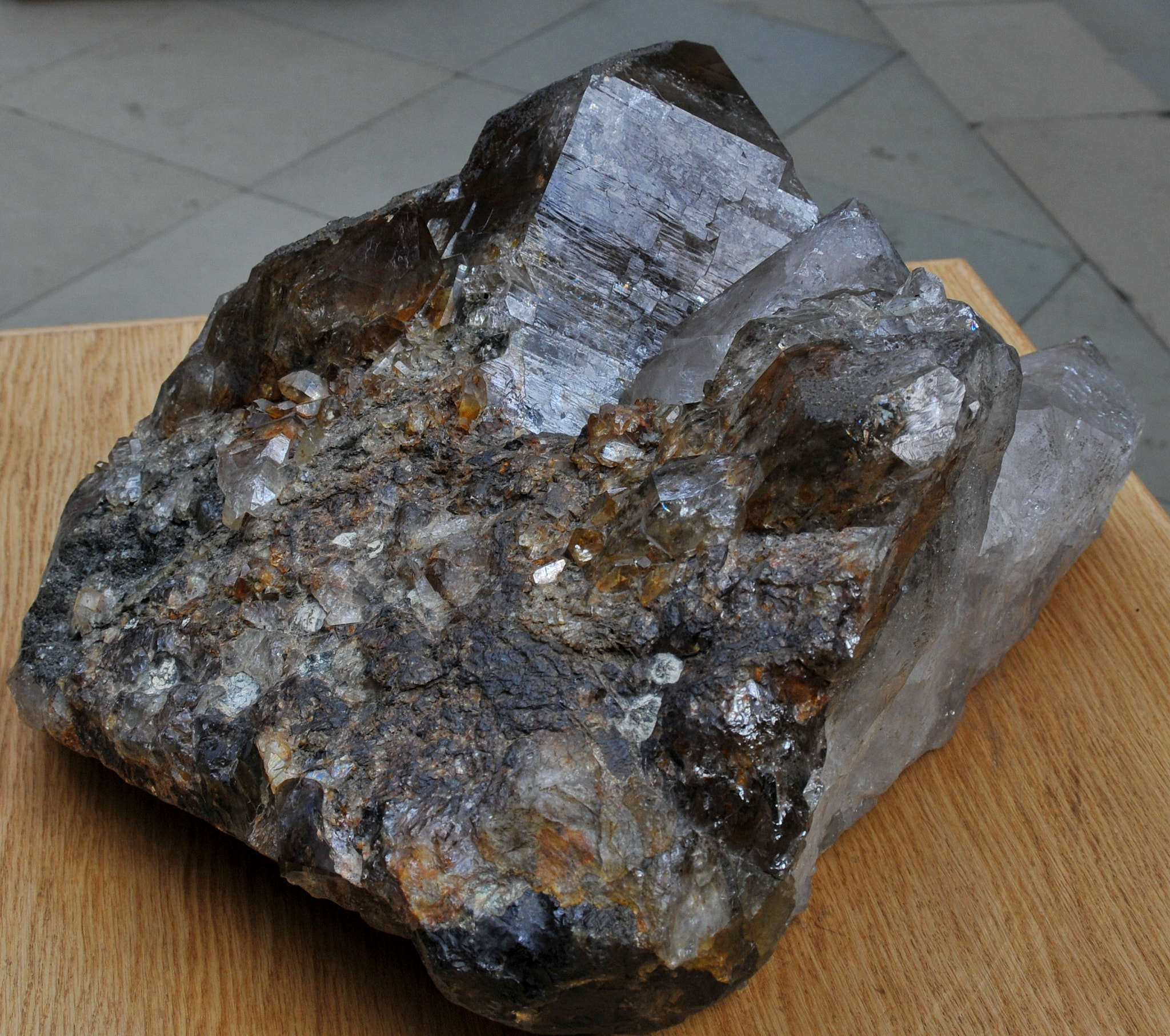 Nikon D300S sample photo. Oxford university museum of natural history photography