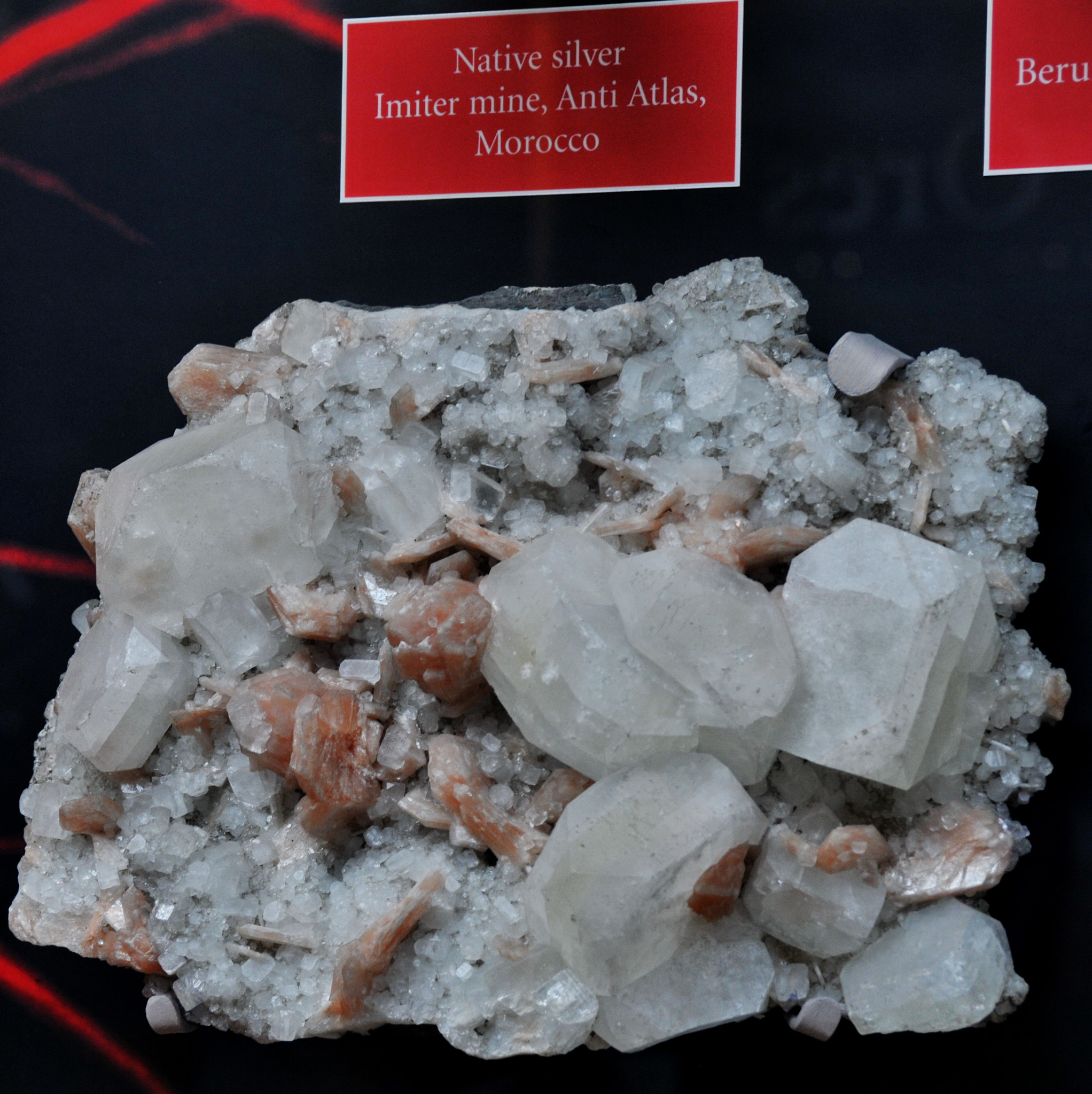 Nikon D300S sample photo. Oxford university museum of natural history photography